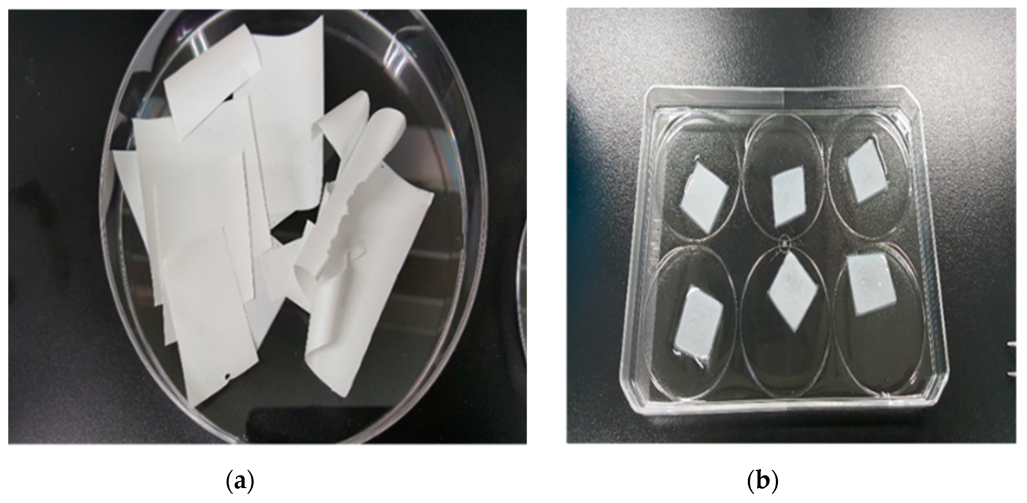Polymers 12 00618 g001