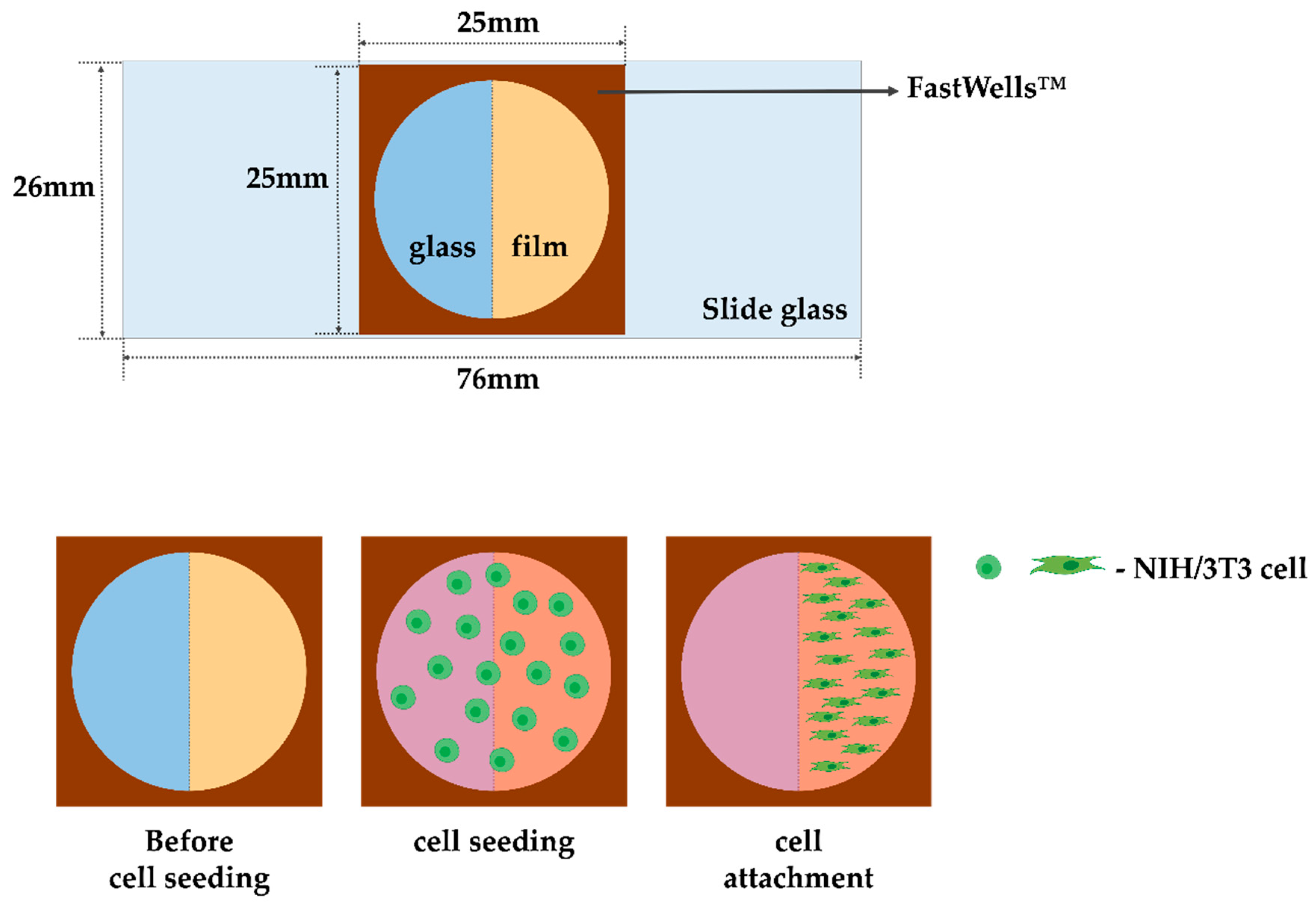 Polymers 12 00618 sch002