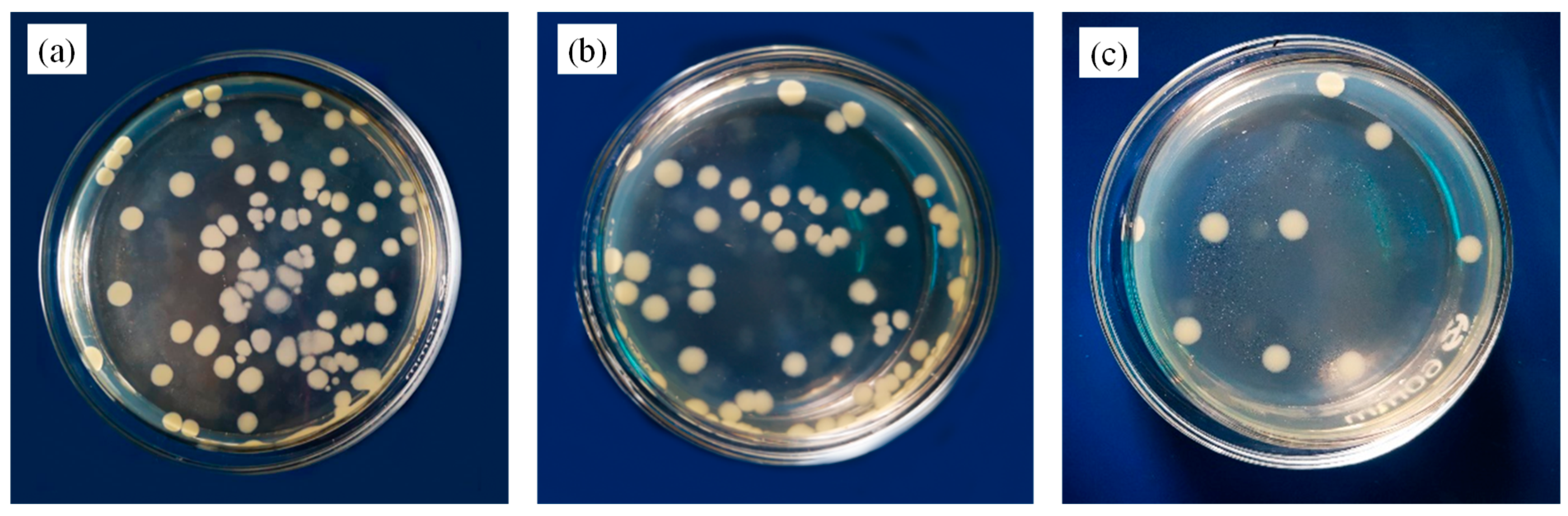 Polymers 12 00621 g013 Polymers 12 00621 g013