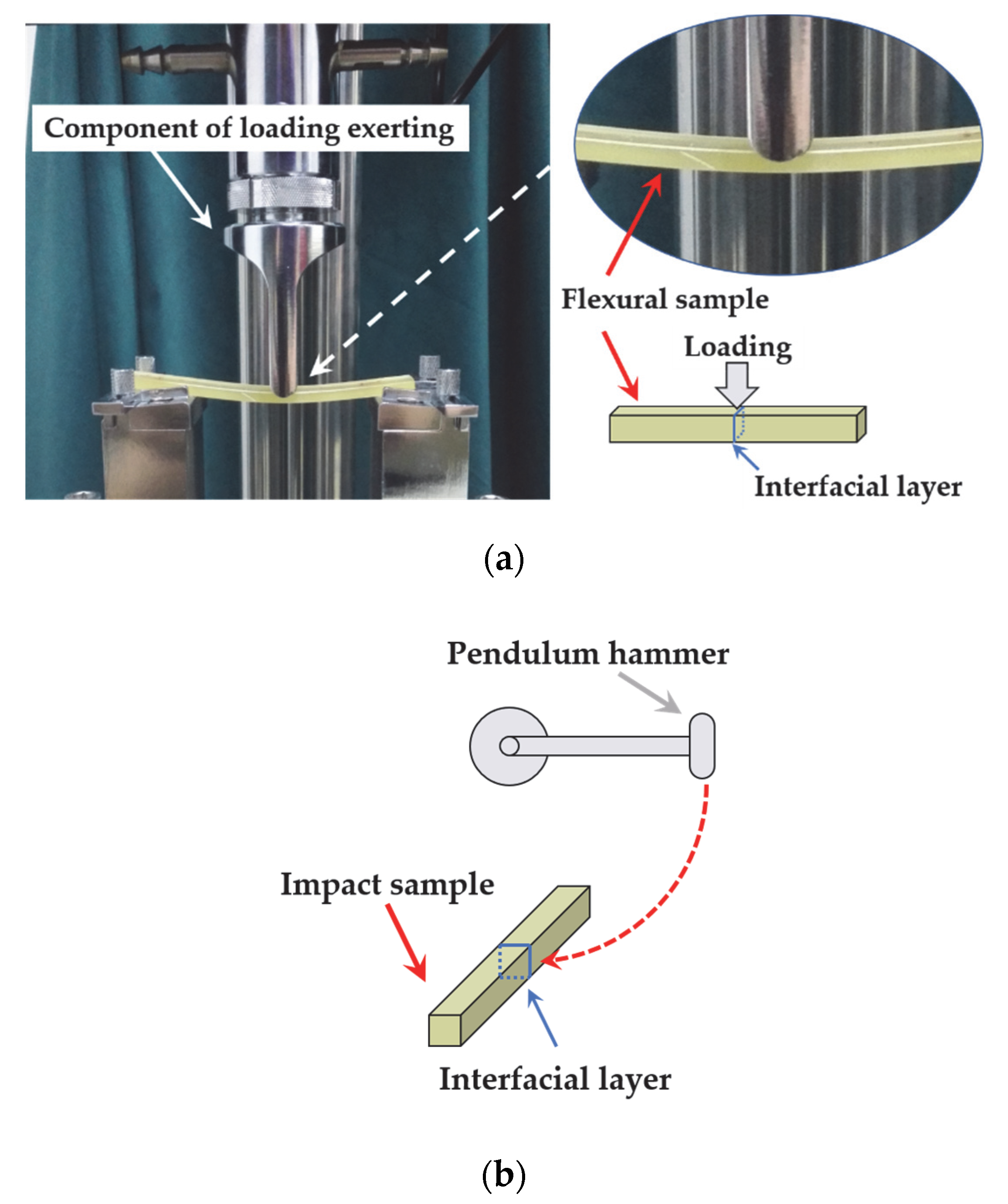 Polymers 12 00622 g001 Polymers 12 00622 g001