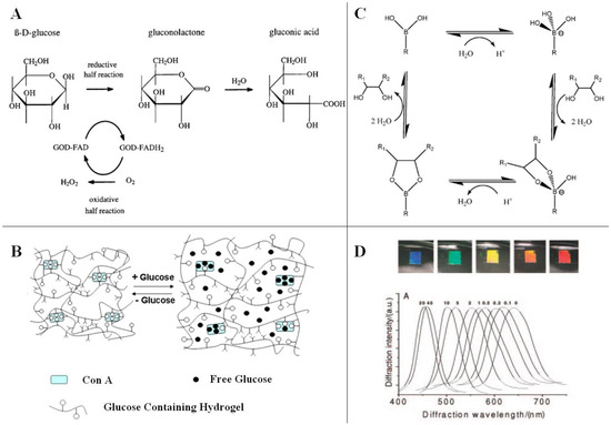 Hydrogel-Based Colloidal Photonic Crystal Devices for Glucose Sensing