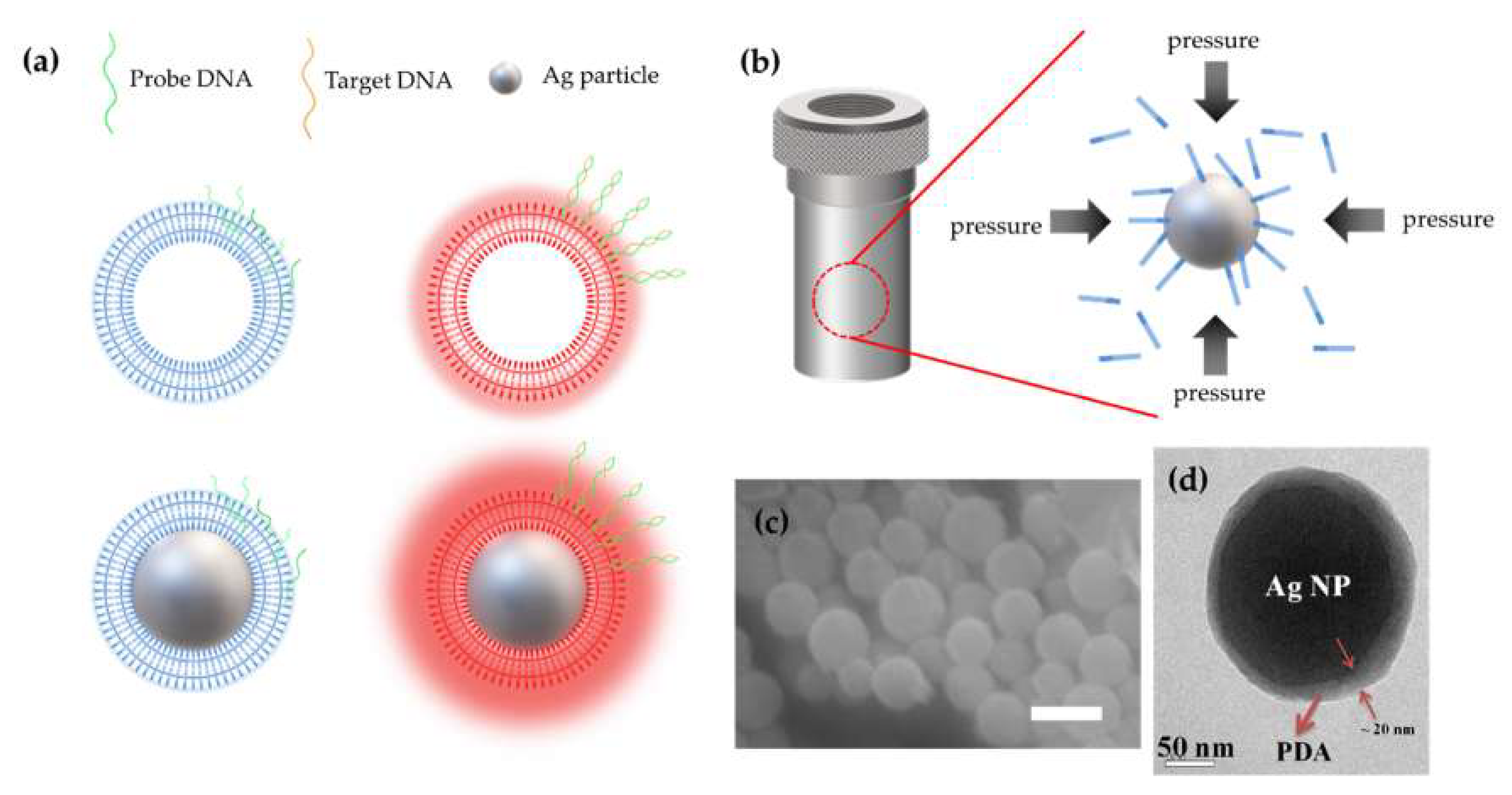 Polymers 12 00631 g001 Polymers 12 00631 g001
