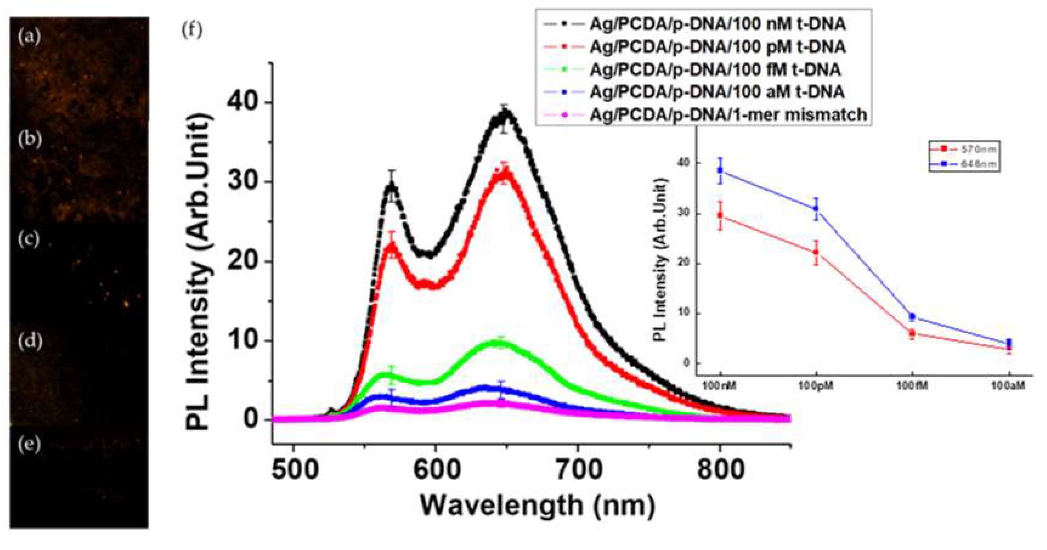 Polymers 12 00631 g004 Polymers 12 00631 g004