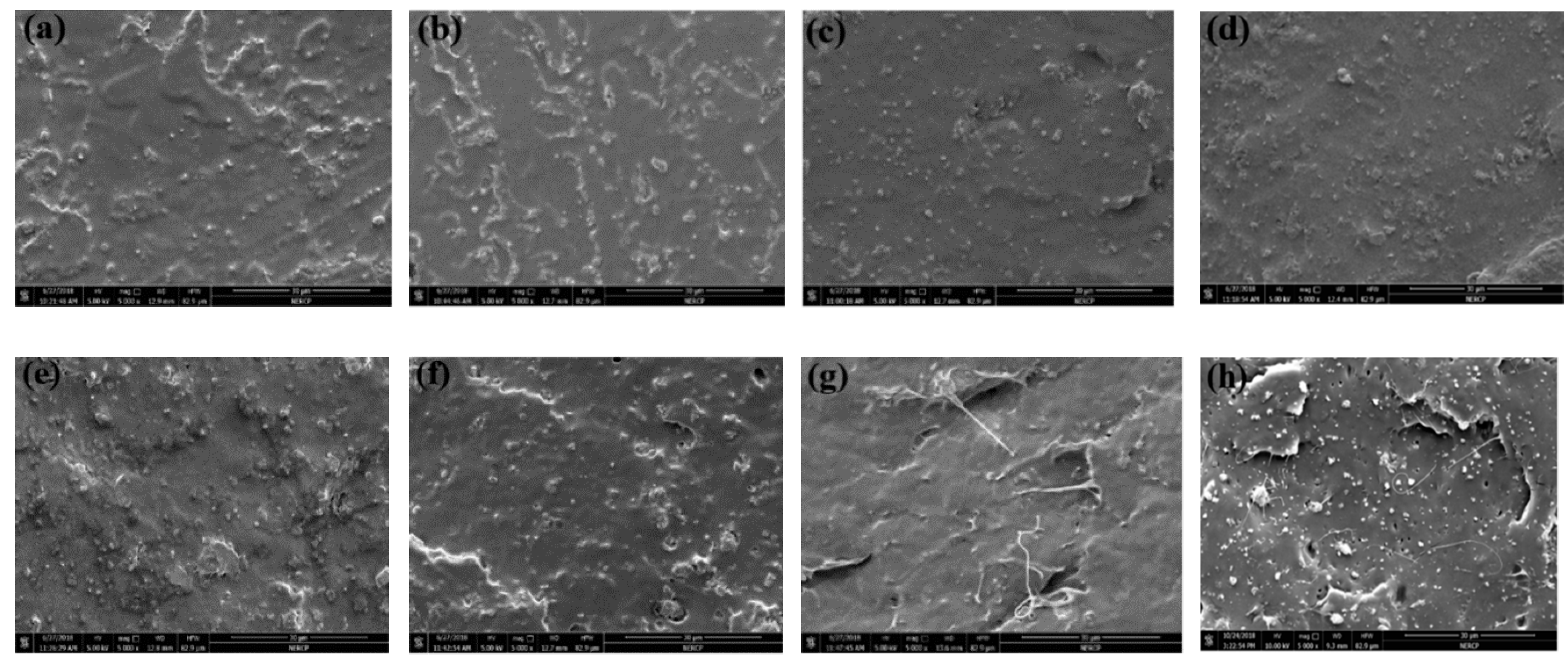 Polymers 12 00632 g012