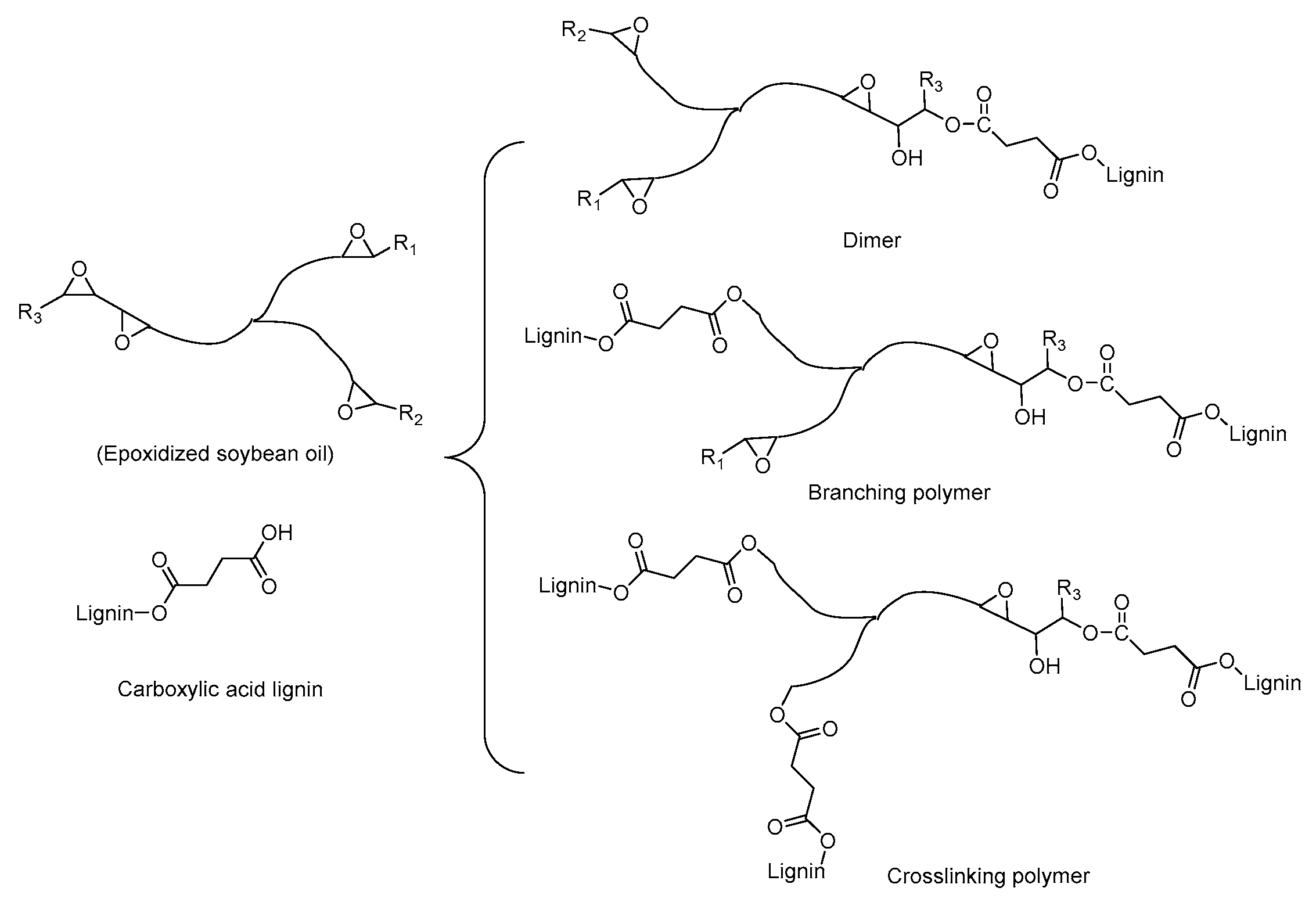 Polymers 12 00632 sch002