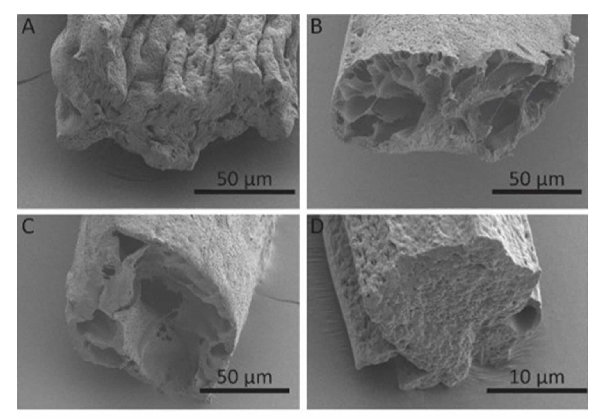 Polymers 12 00633 g005