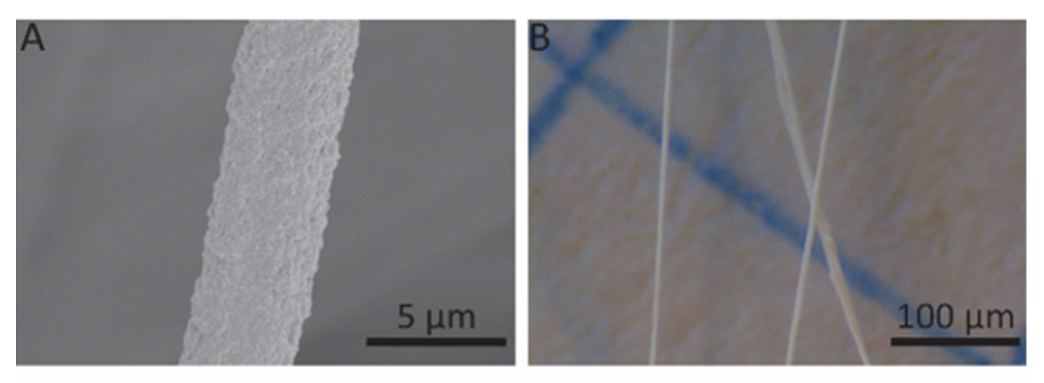 Polymers 12 00633 g006