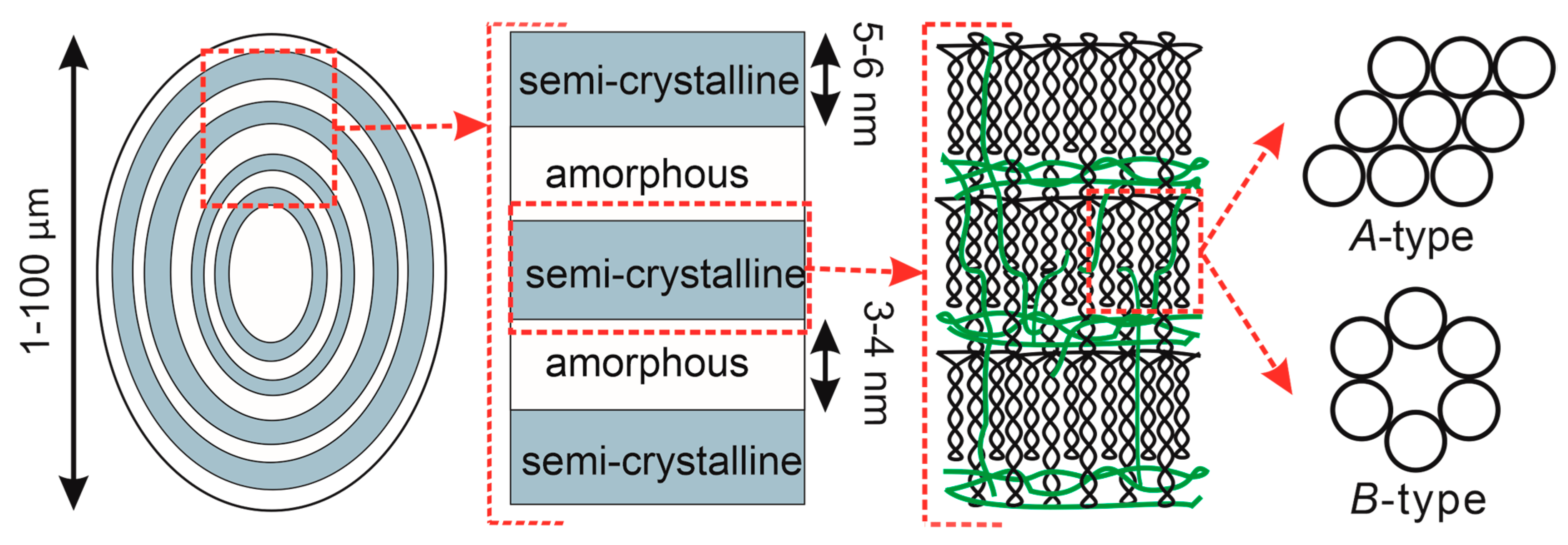 Polymers 12 00641 g001