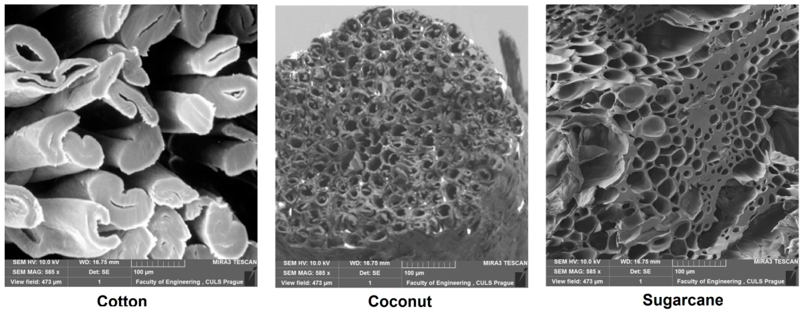Polymers 12 00654 g001