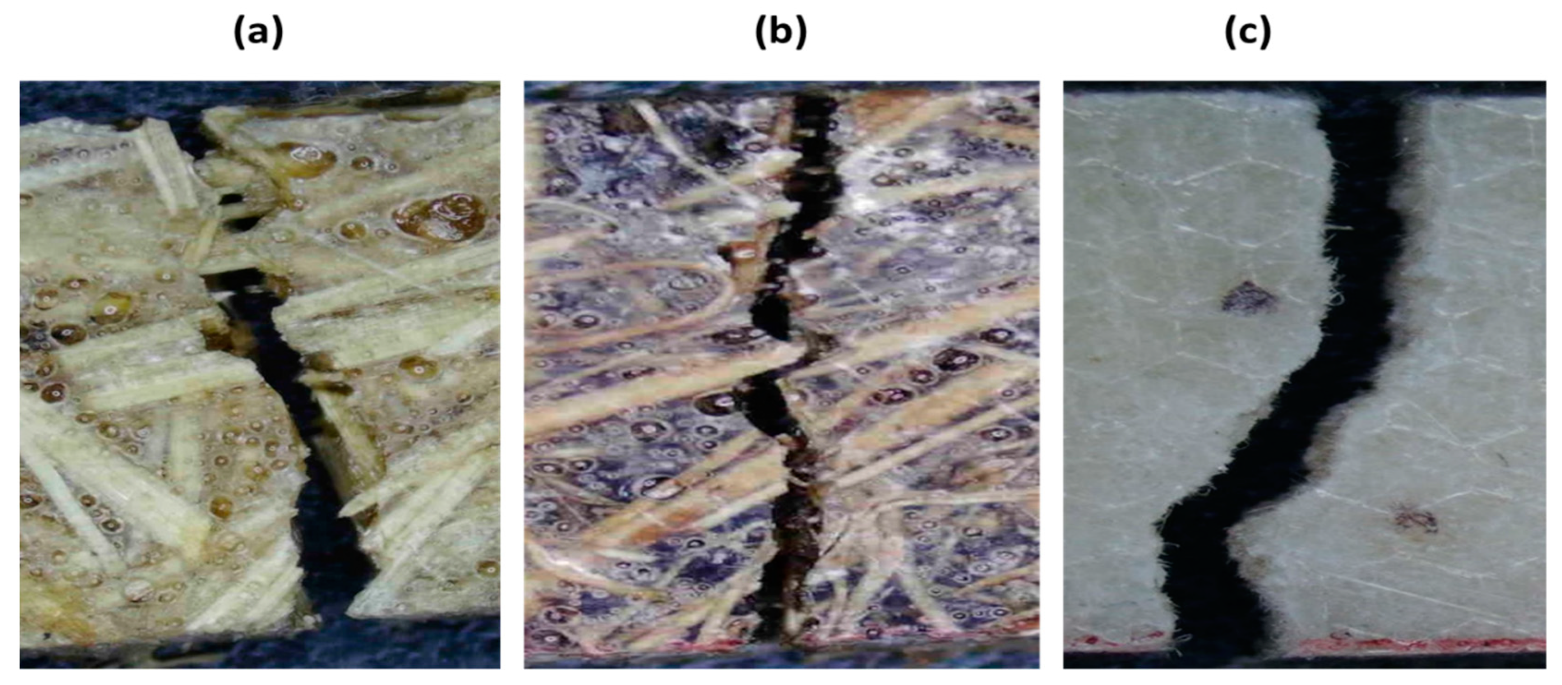 Polymers 12 00654 g005