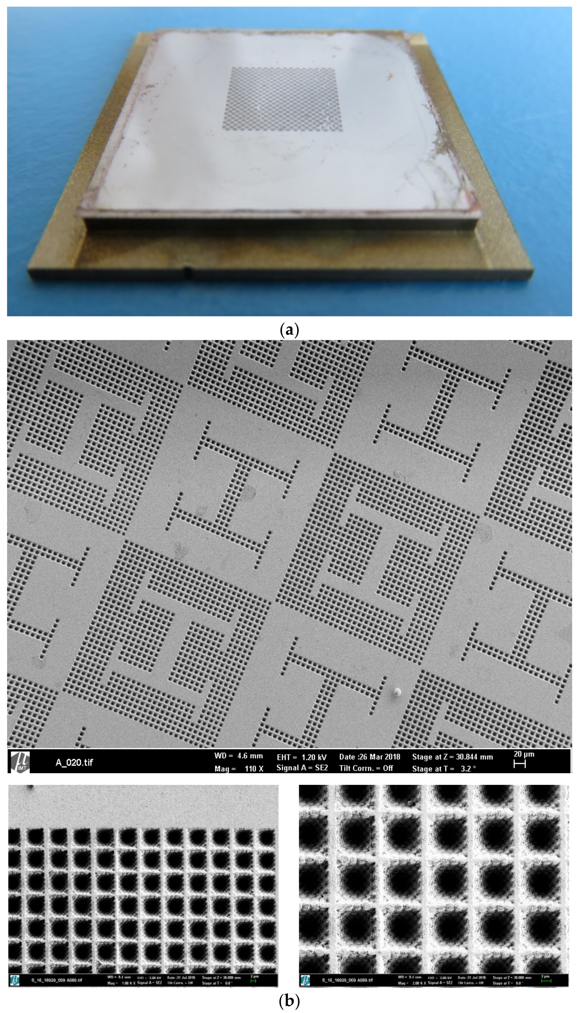Polymers 12 00655 g002 Polymers 12 00655 g002