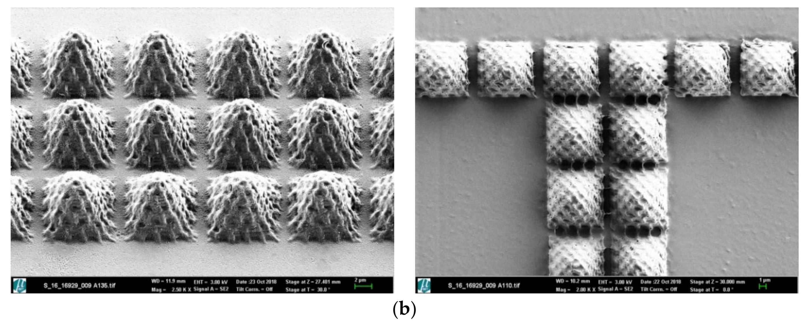 Polymers 12 00655 g003b Polymers 12 00655 g003b