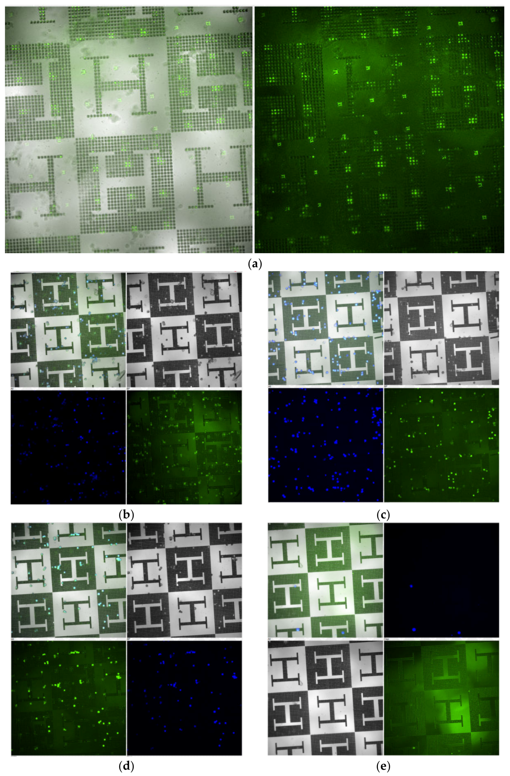 Polymers 12 00655 g005 Polymers 12 00655 g005