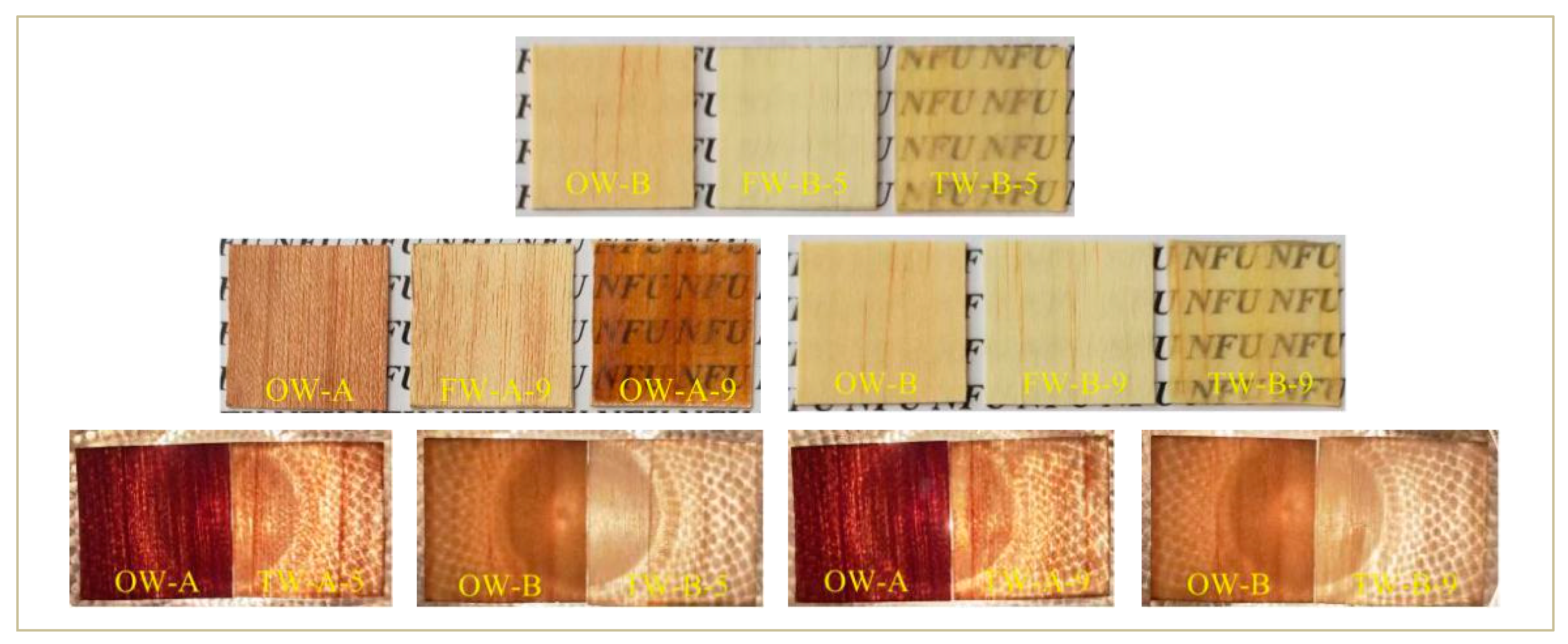 Polymers 12 00661 g004 Polymers 12 00661 g004