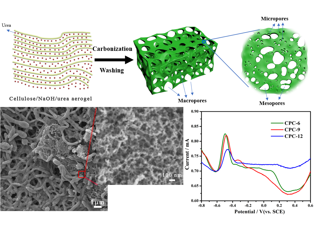 Polymers Free FullText Cellulose Aerogel Derived Hierarchical