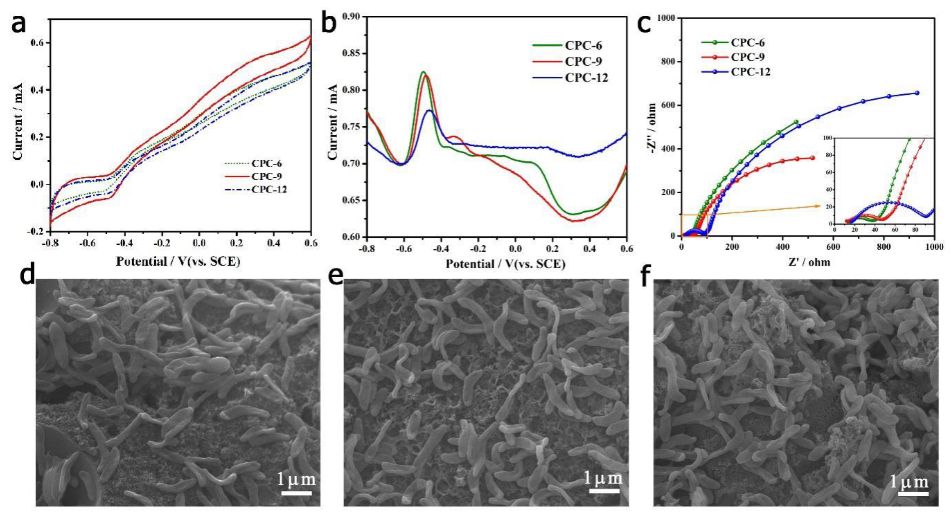 Polymers 12 00664 g005 Polymers 12 00664 g005