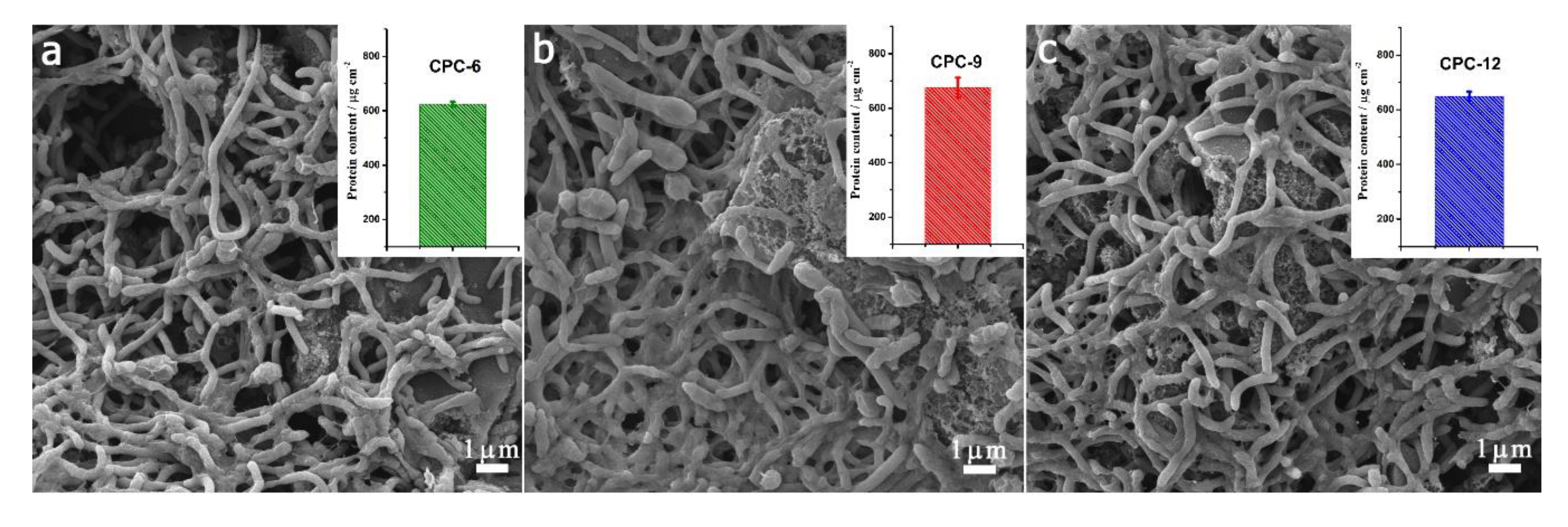 Polymers 12 00664 g007 Polymers 12 00664 g007