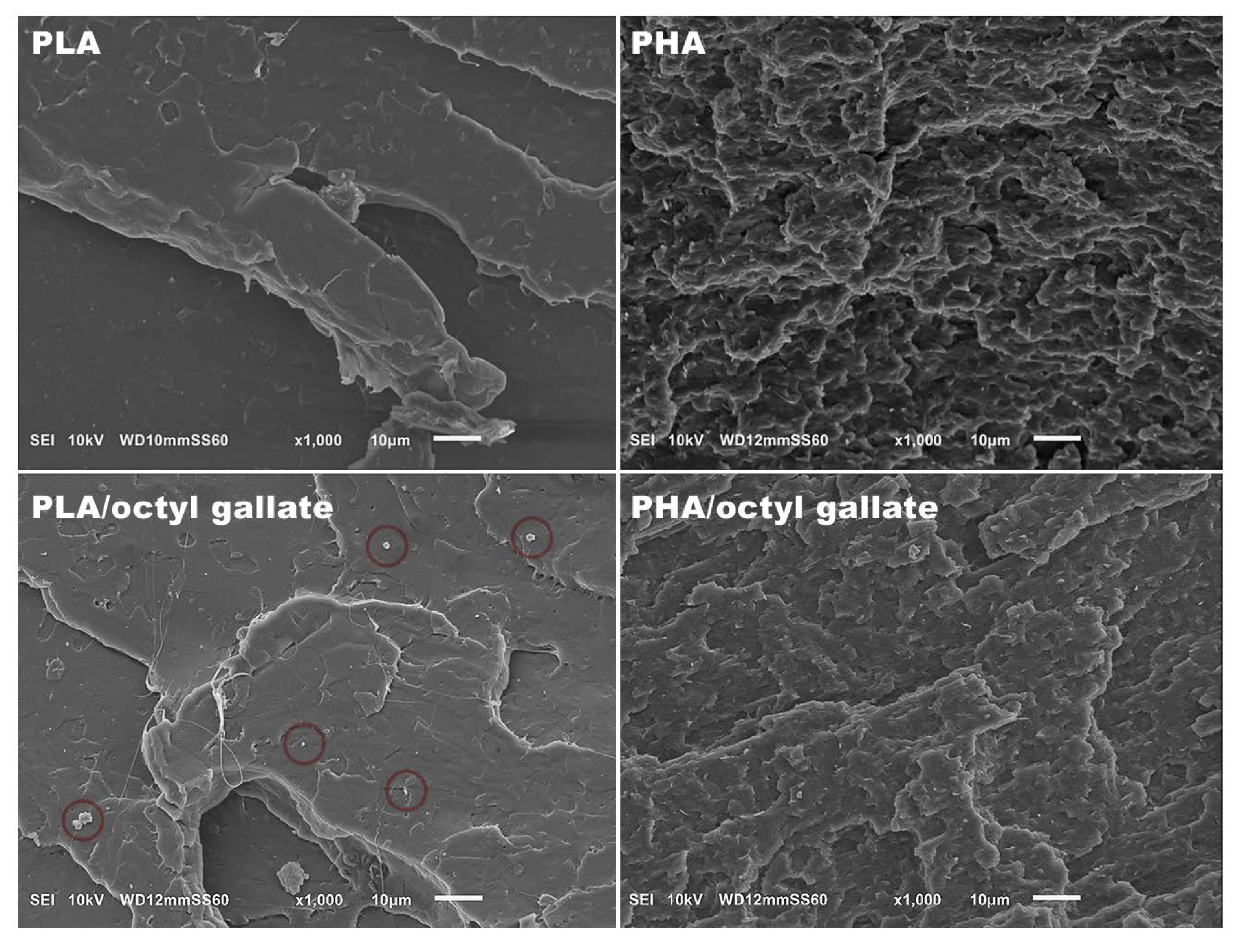 Polymers 12 00677 g004 Polymers 12 00677 g004