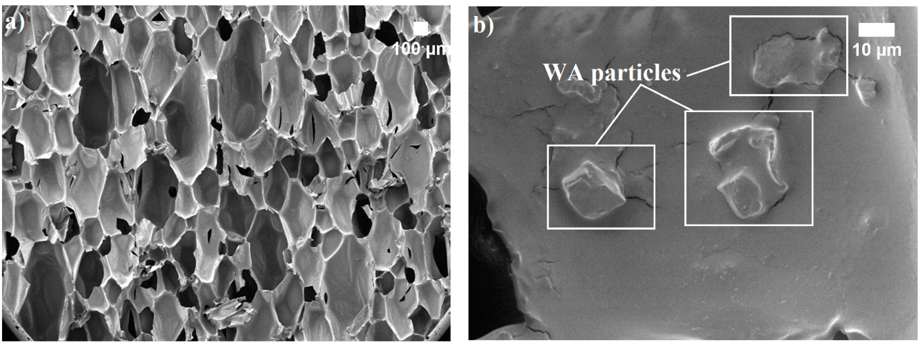 Polymers 12 00683 g001 Polymers 12 00683 g001