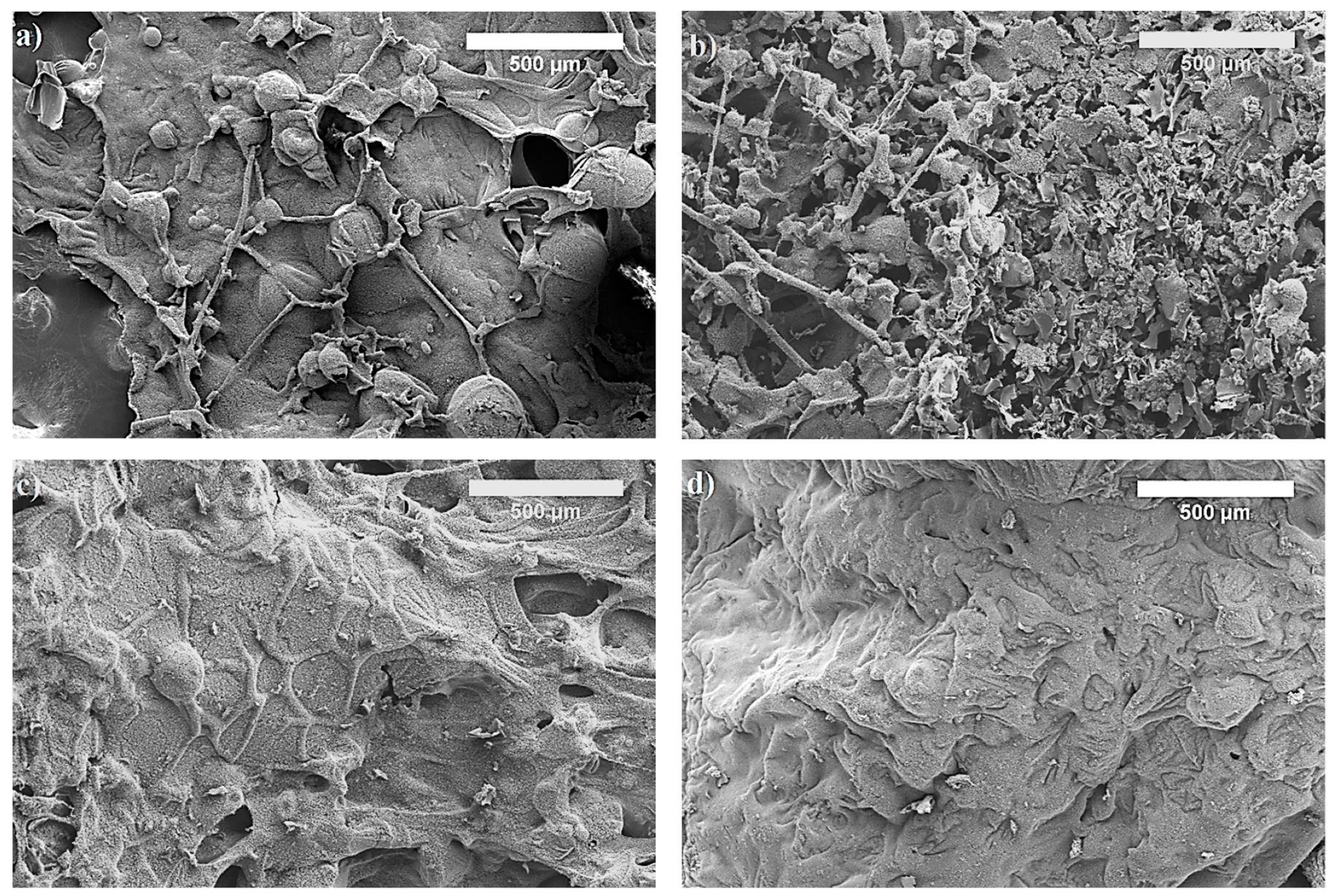 Polymers 12 00683 g005 Polymers 12 00683 g005