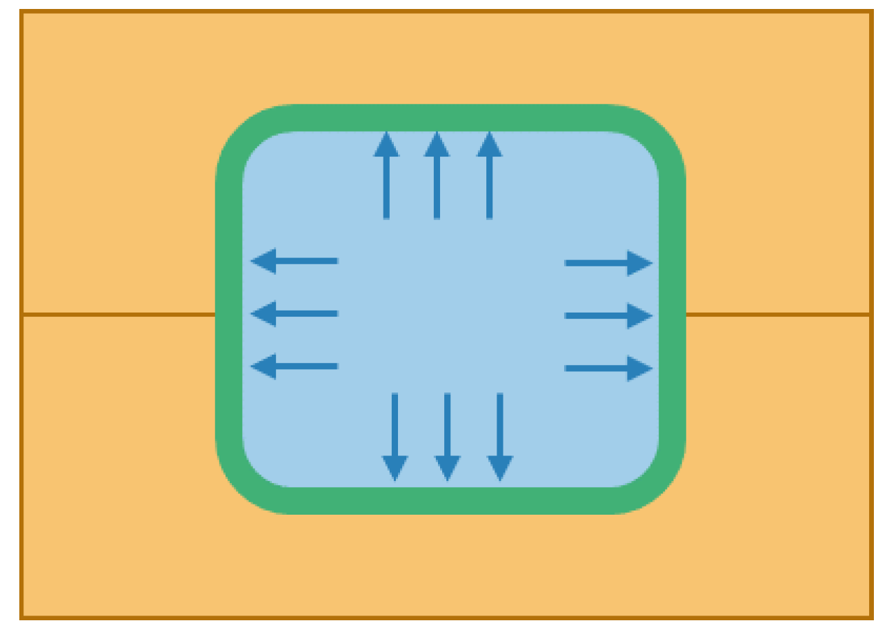 Polymers 12 00686 g002