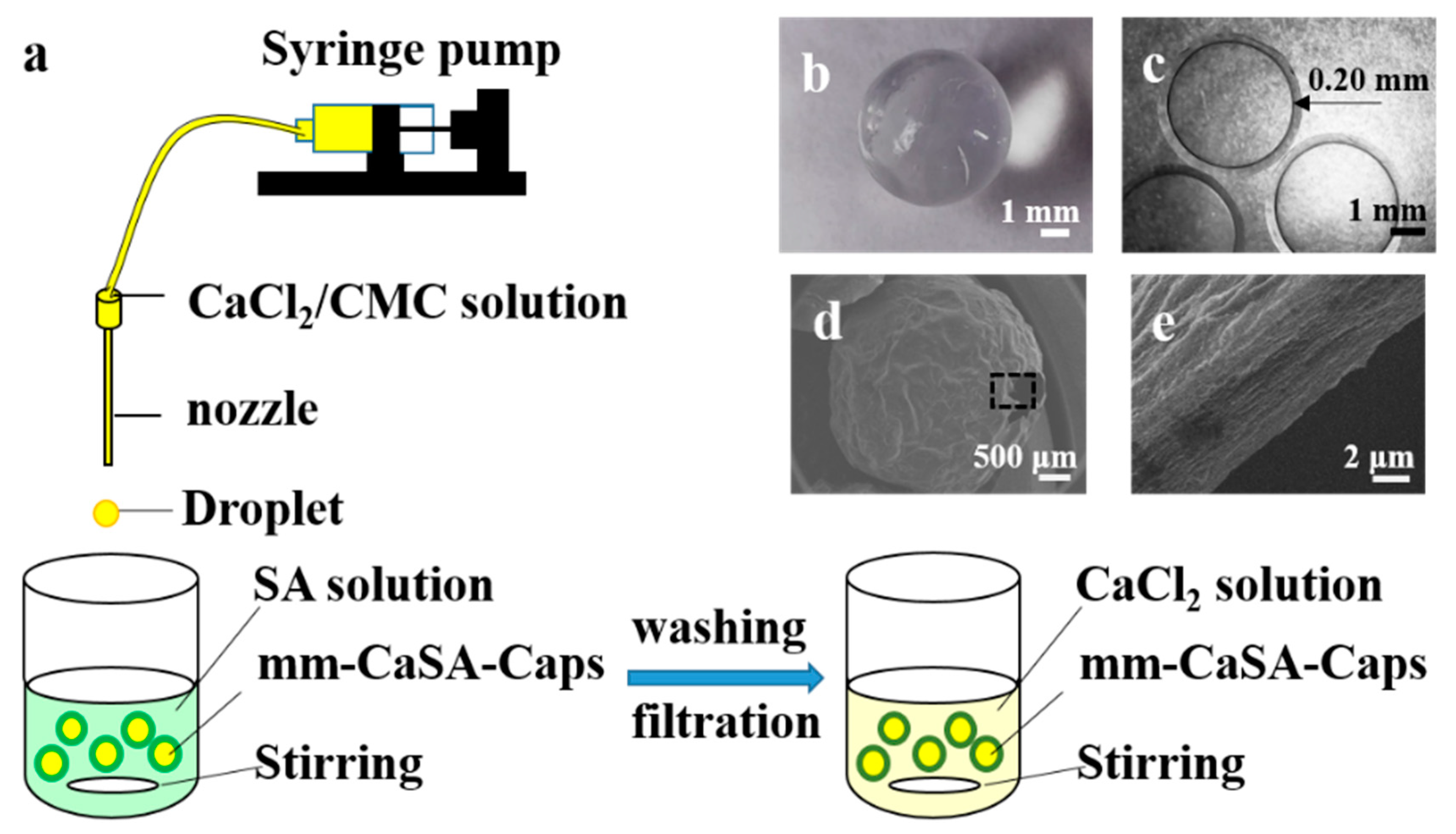 Polymers 12 00688 g001 Polymers 12 00688 g001