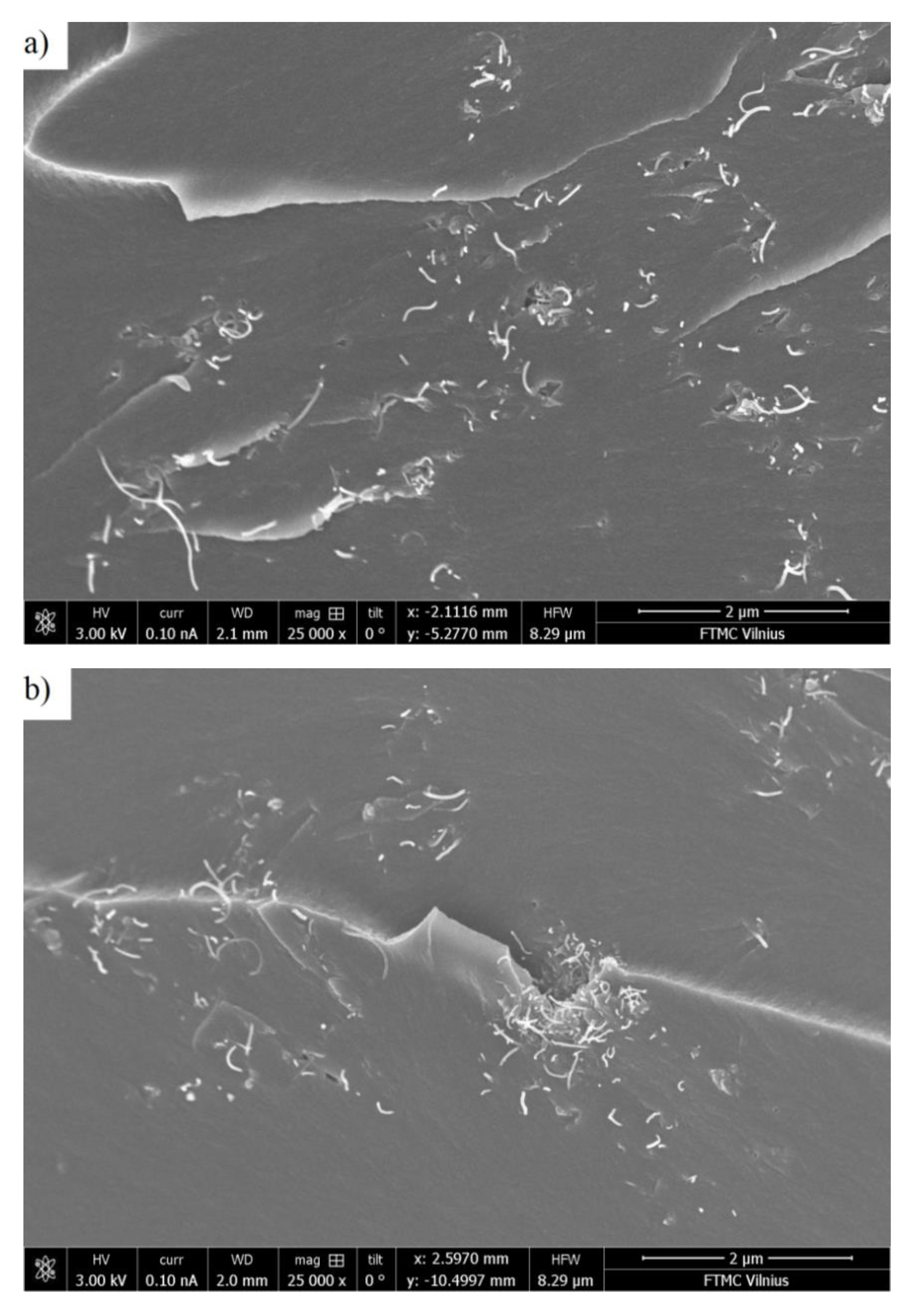 Polymers 12 00697 g001a Polymers 12 00697 g001a