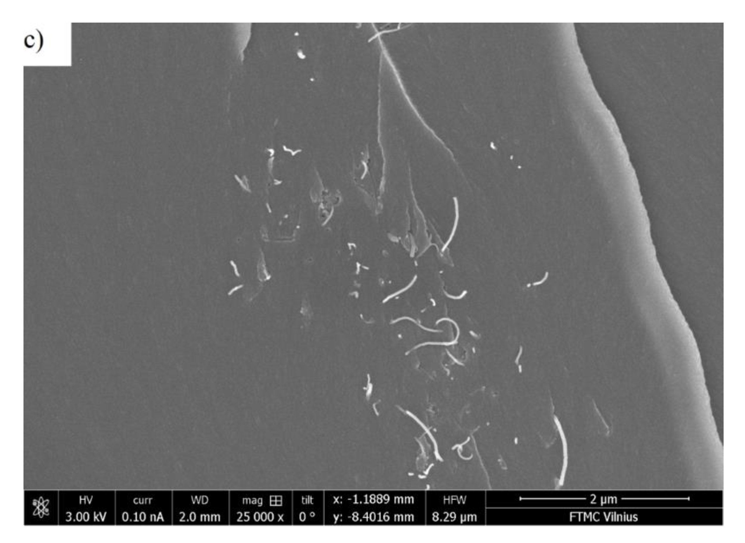 Polymers 12 00697 g001b Polymers 12 00697 g001b