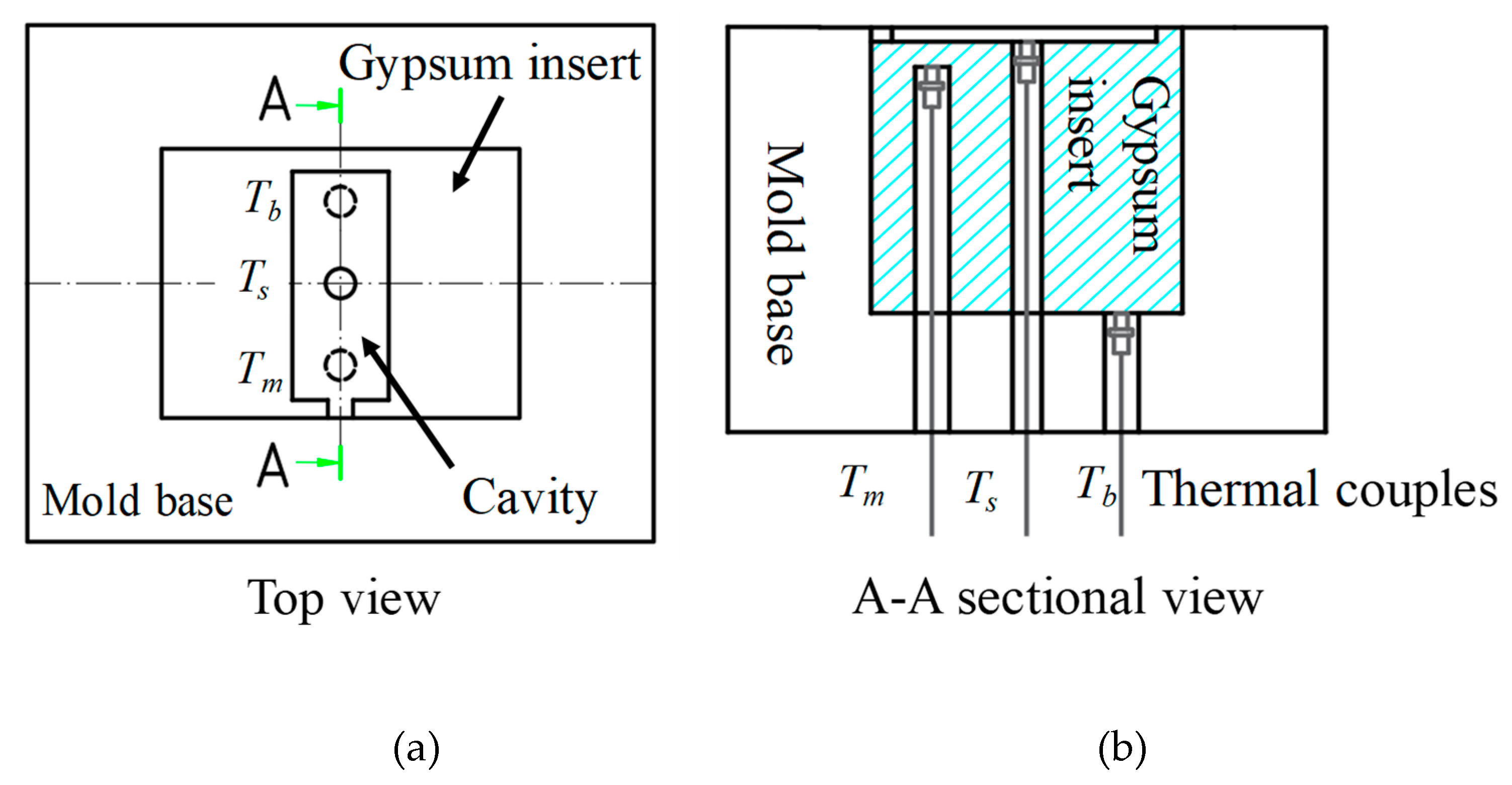 Polymers 12 00701 g011