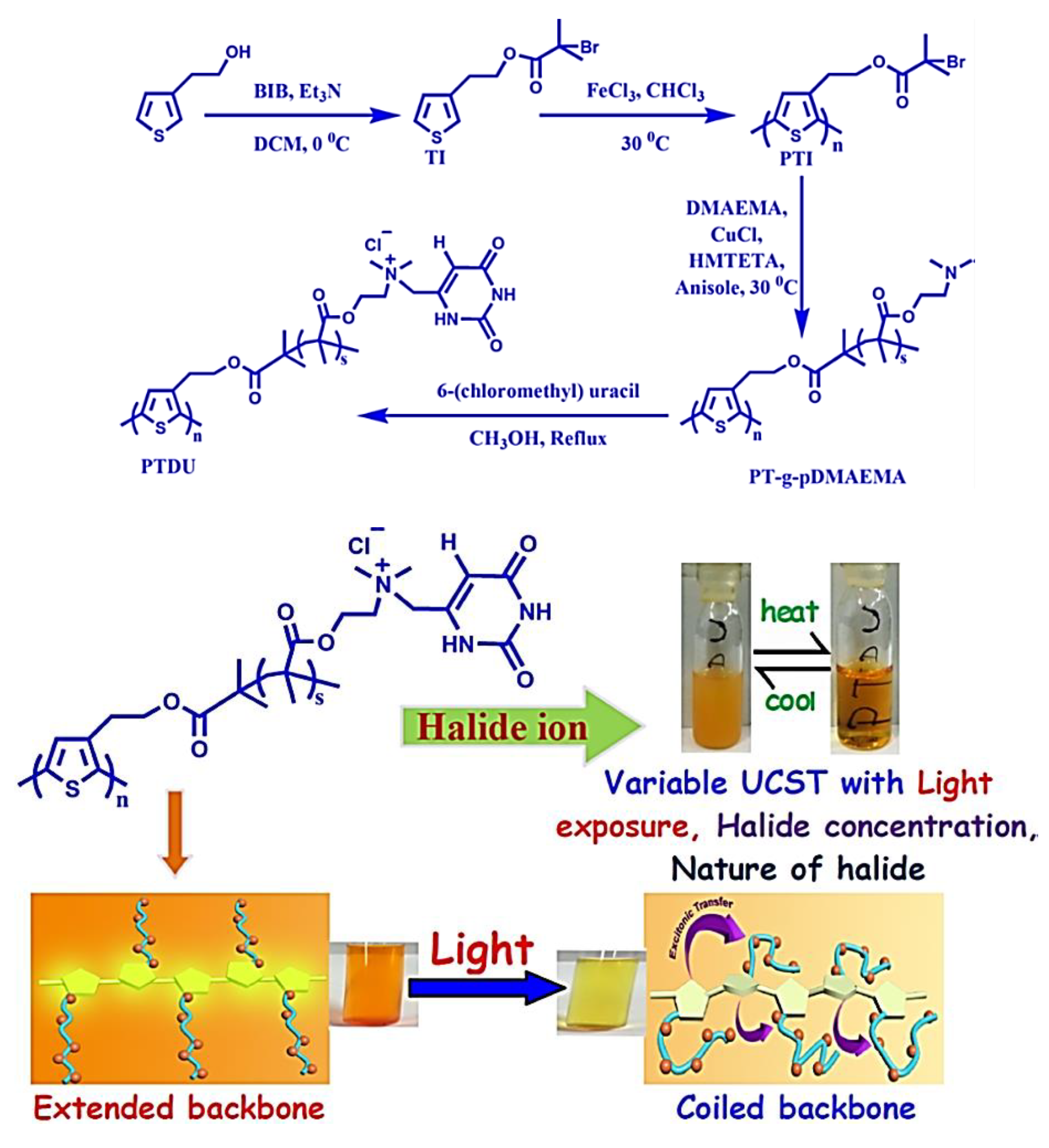 Polymers 12 00709 g005 Polymers 12 00709 g005
