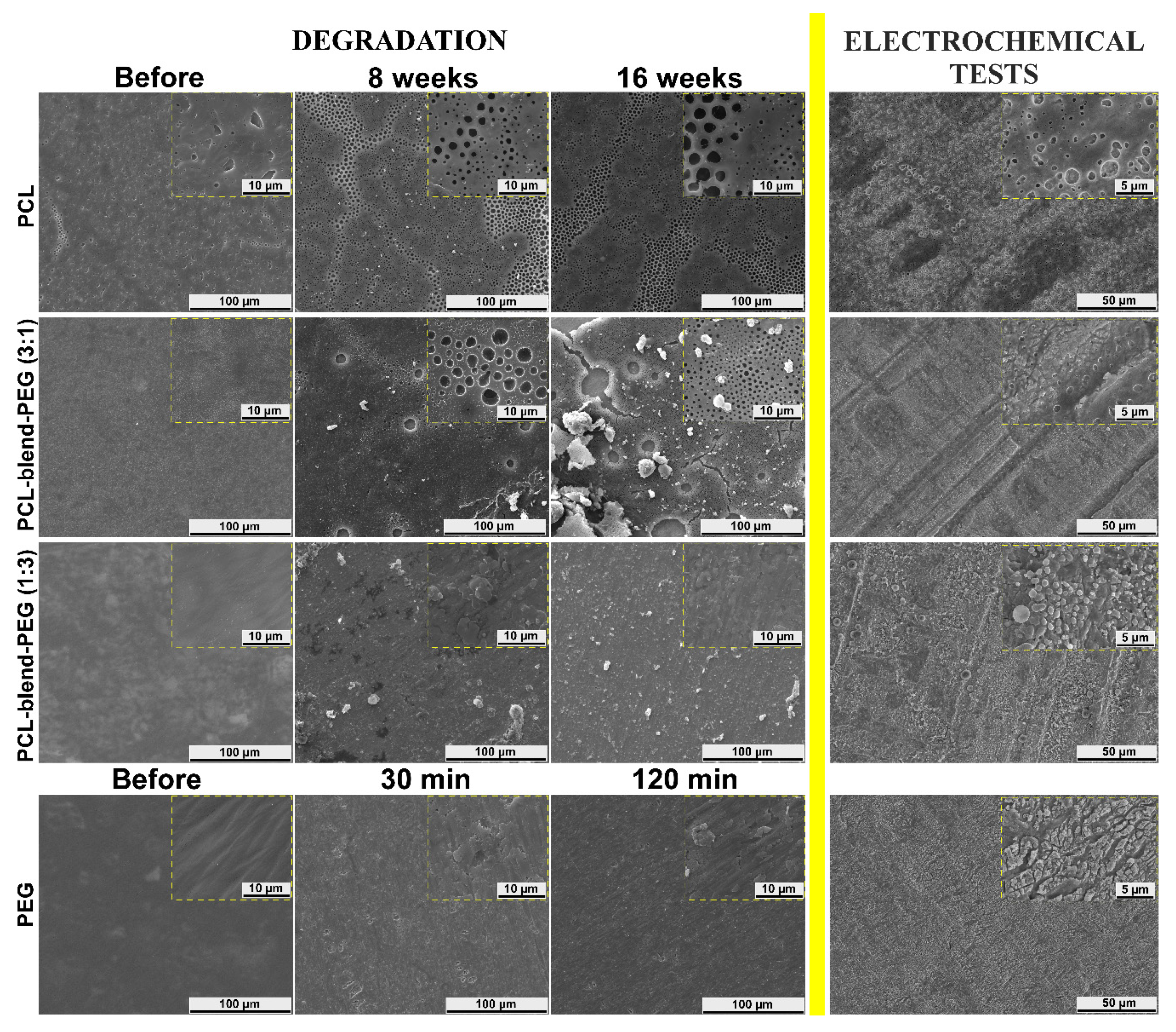 Polymers 12 00717 g007 Polymers 12 00717 g007