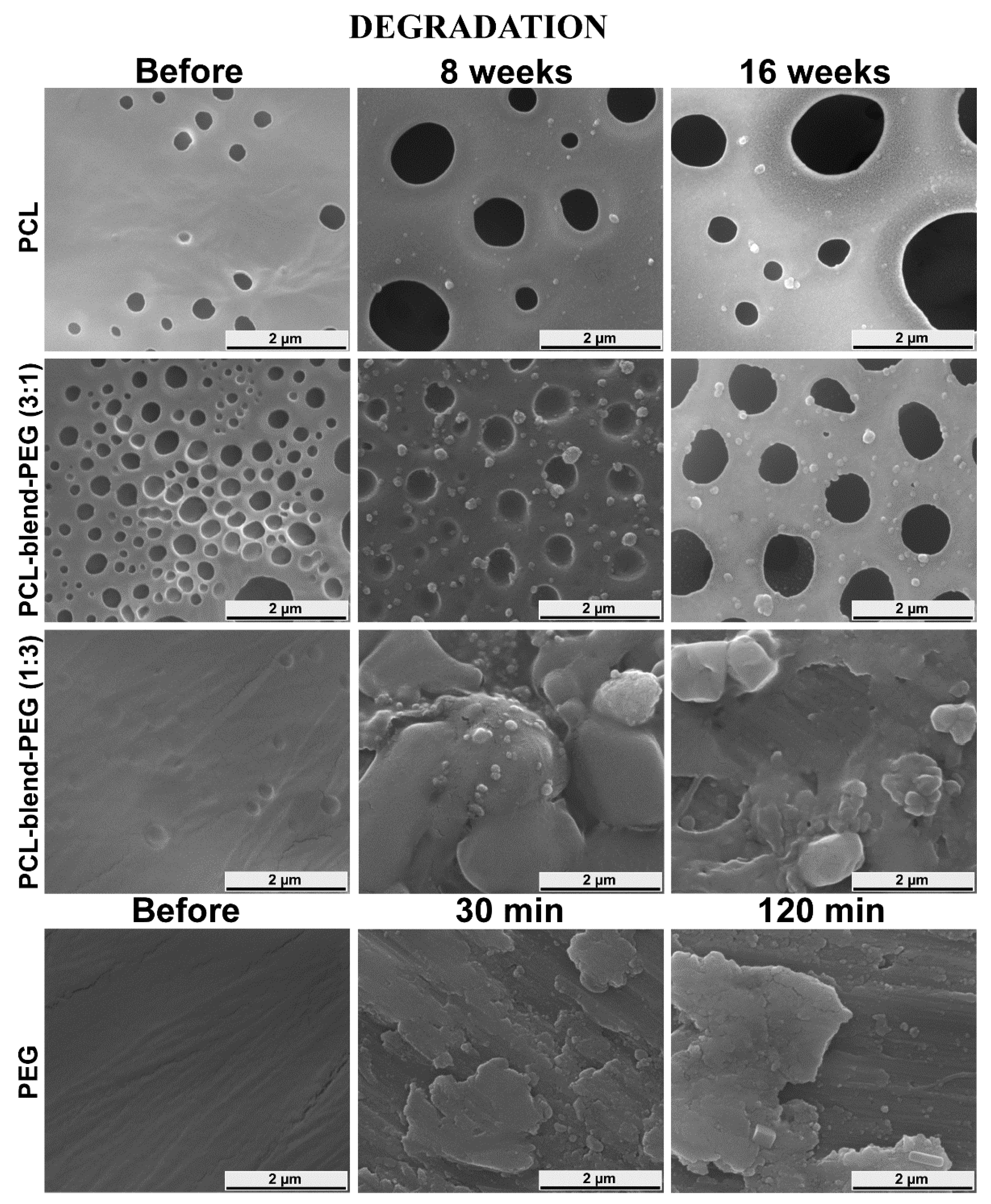 Polymers 12 00717 g008 Polymers 12 00717 g008