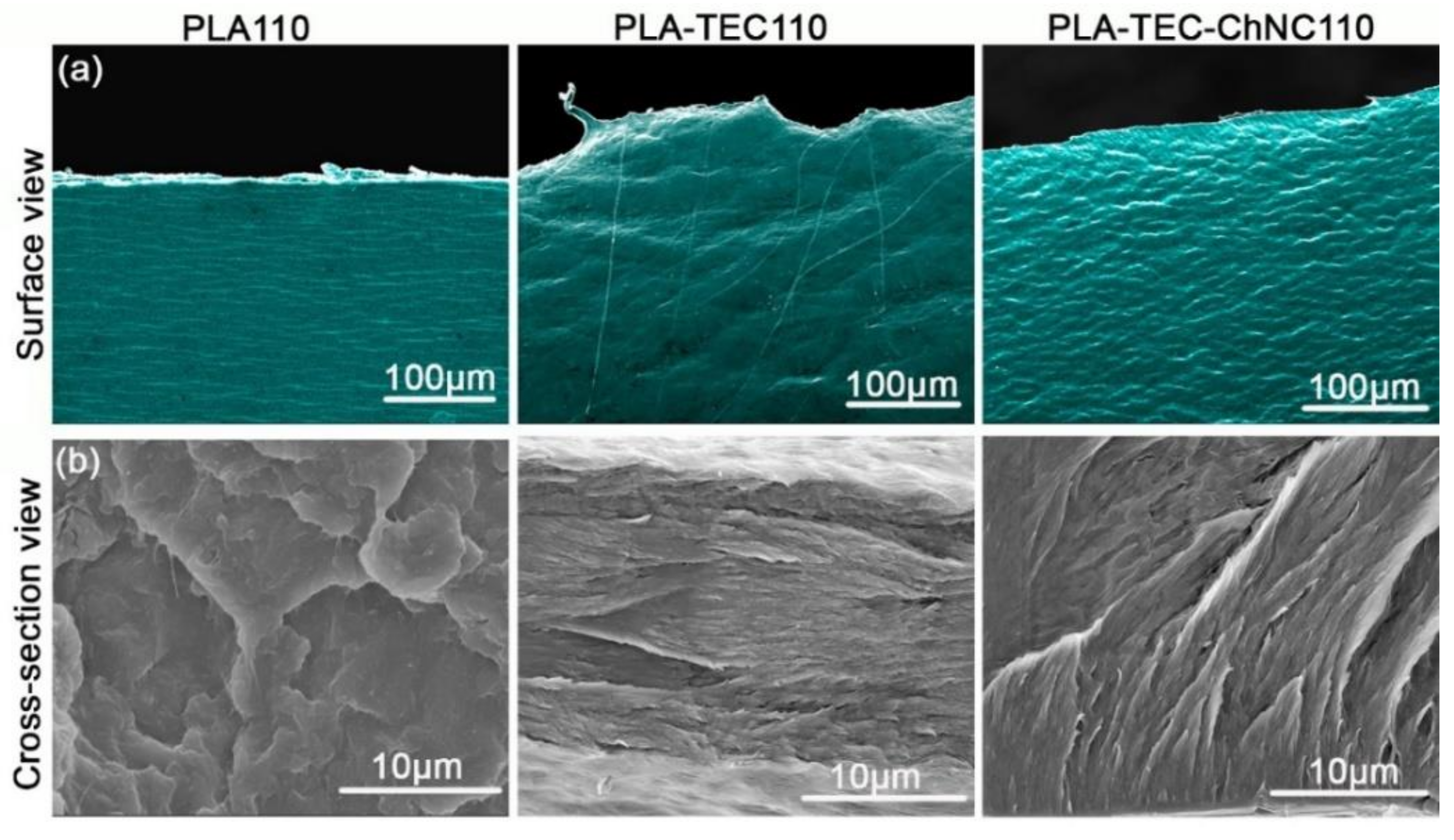 Polymers 12 00726 g003 Polymers 12 00726 g003