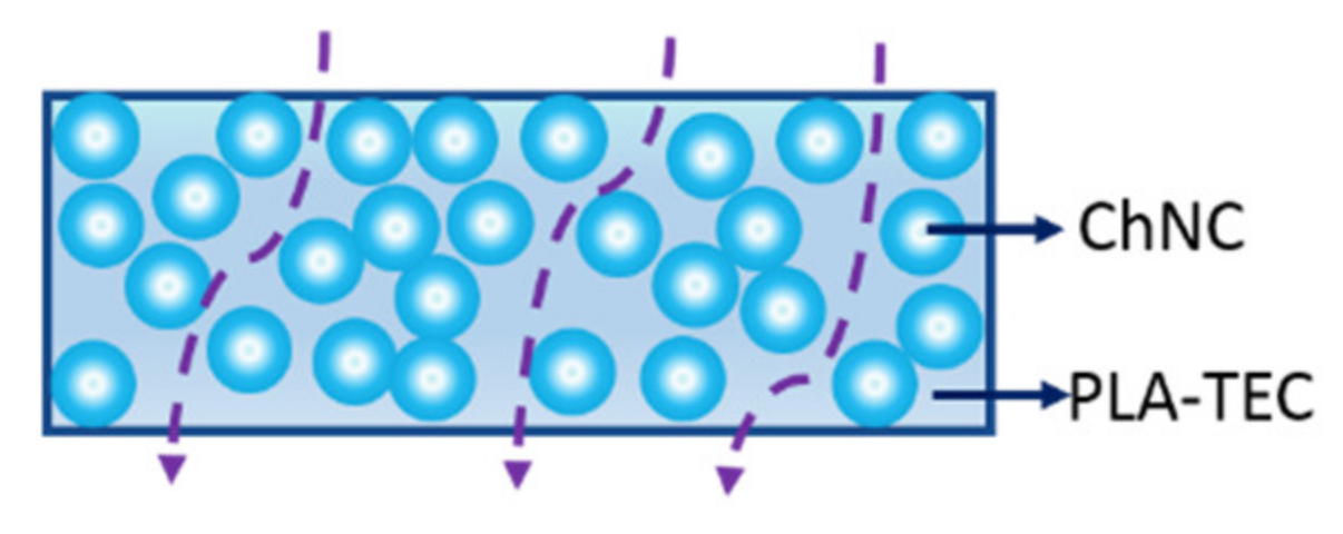 Polymers 12 00726 g009 Polymers 12 00726 g009