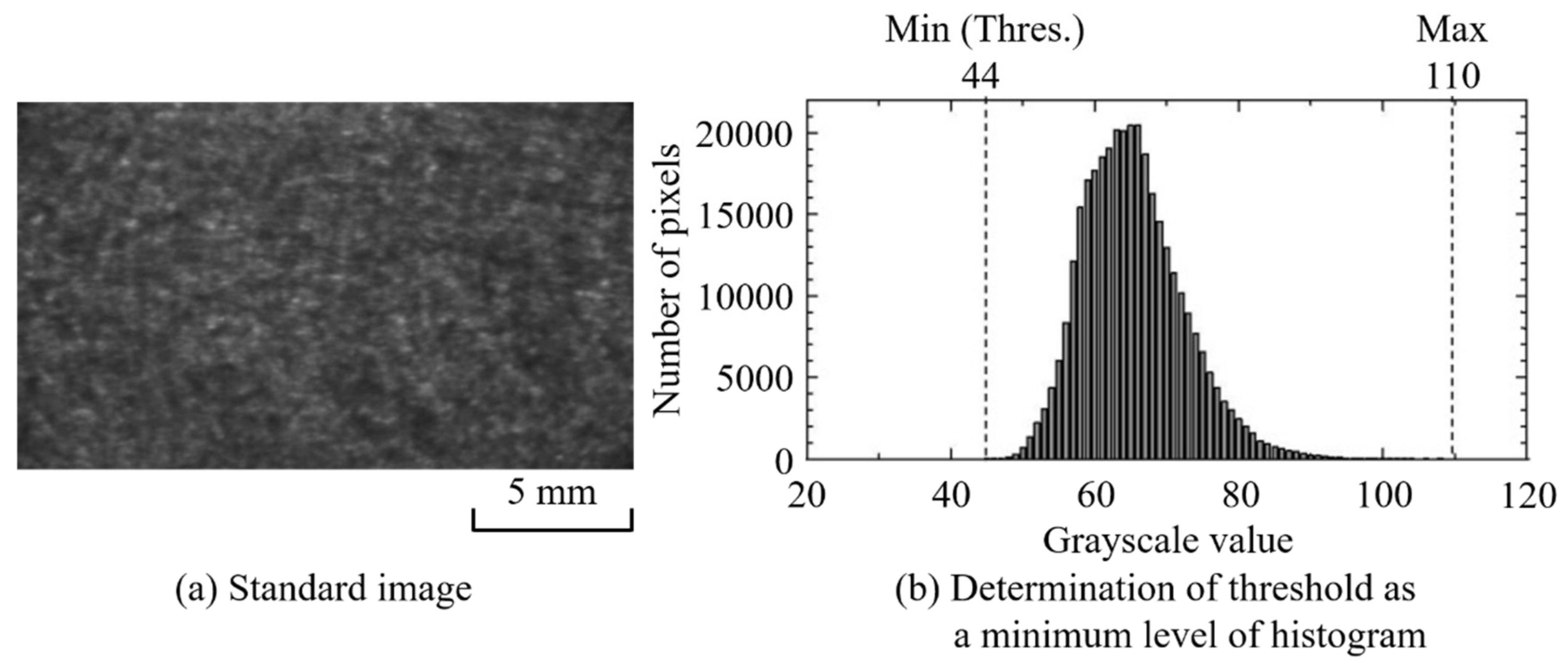 Polymers 12 00727 g005