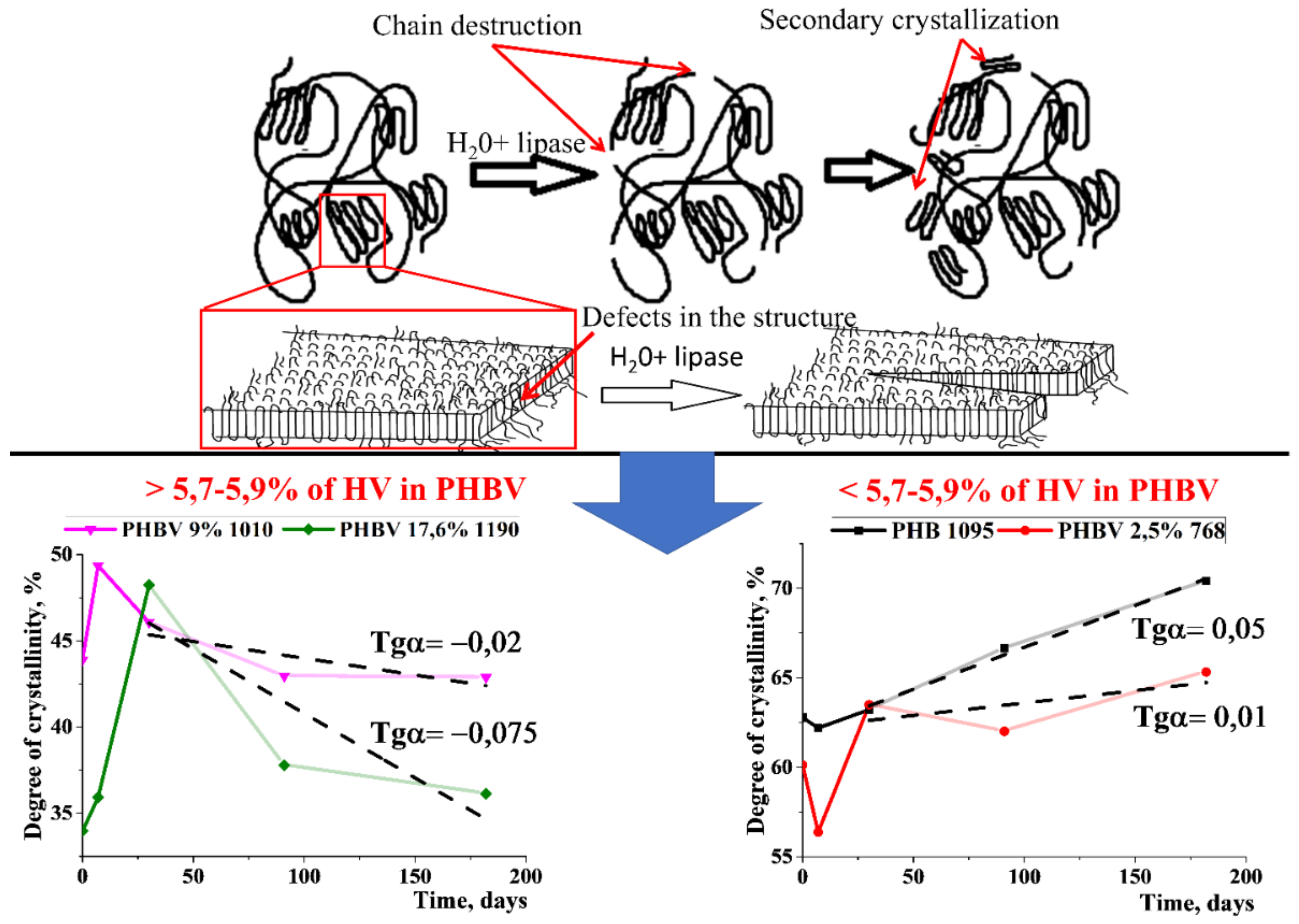 Polymers 12 00728 g009 Polymers 12 00728 g009