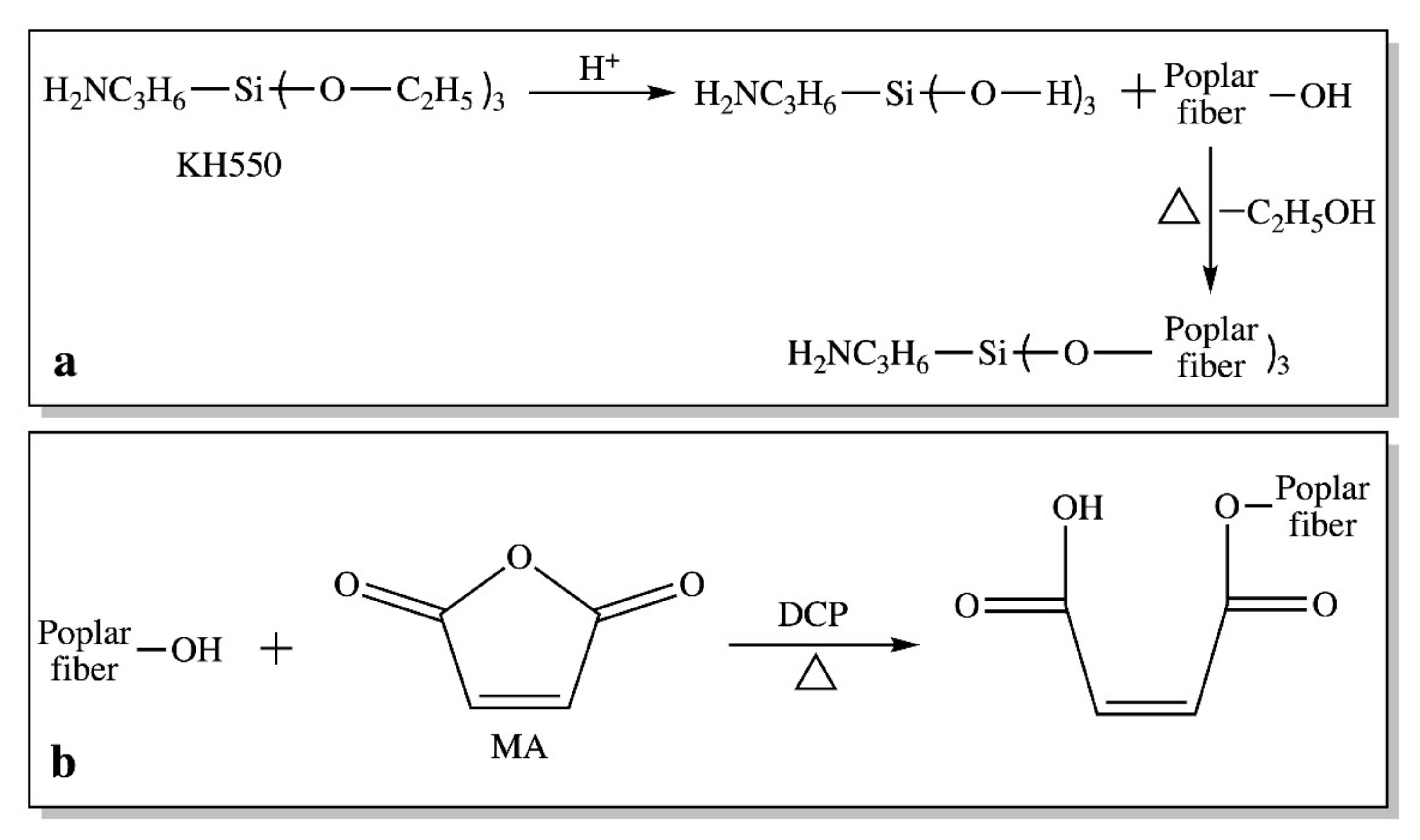 Polymers 12 00729 g001