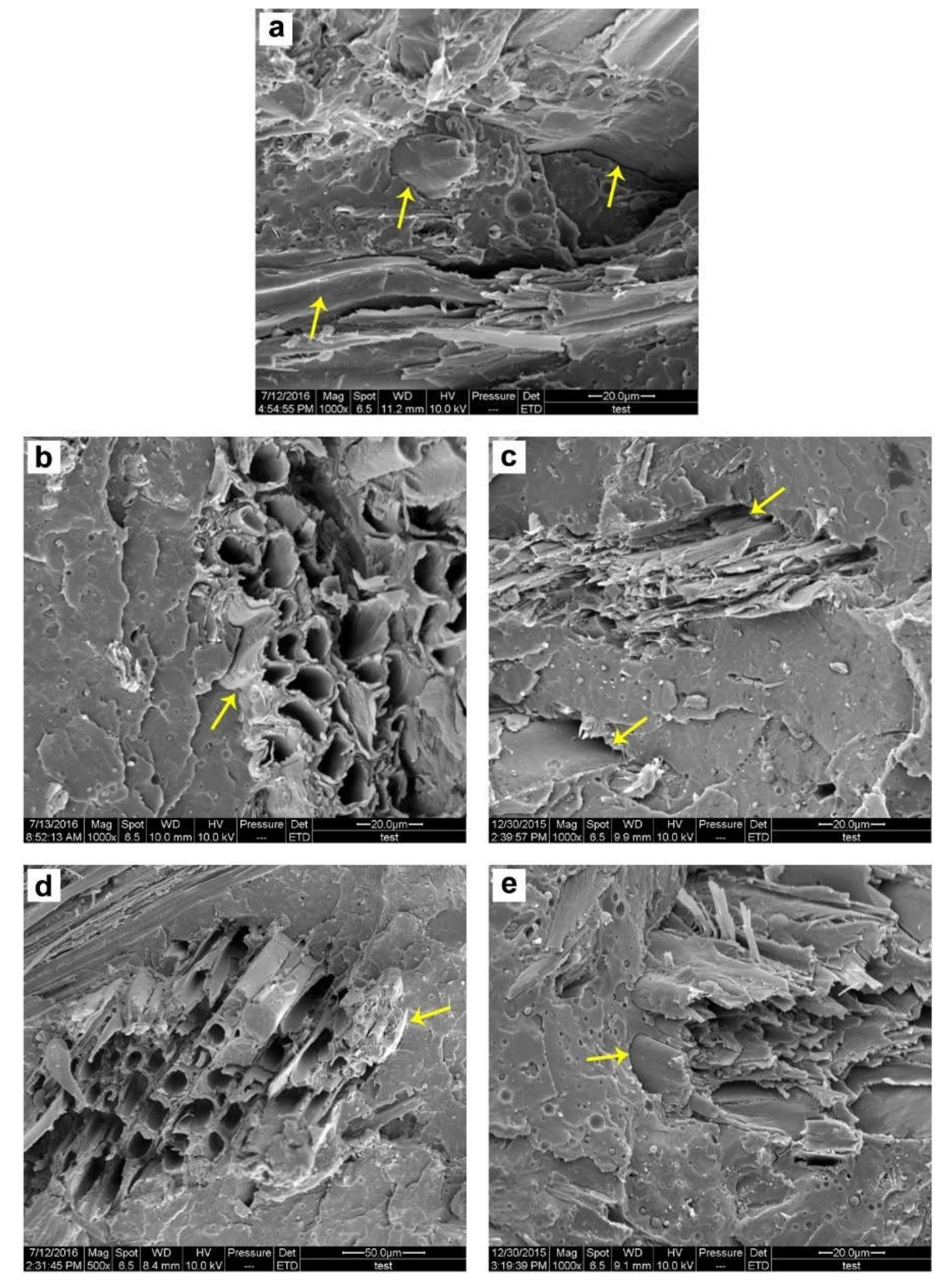 Polymers 12 00729 g007