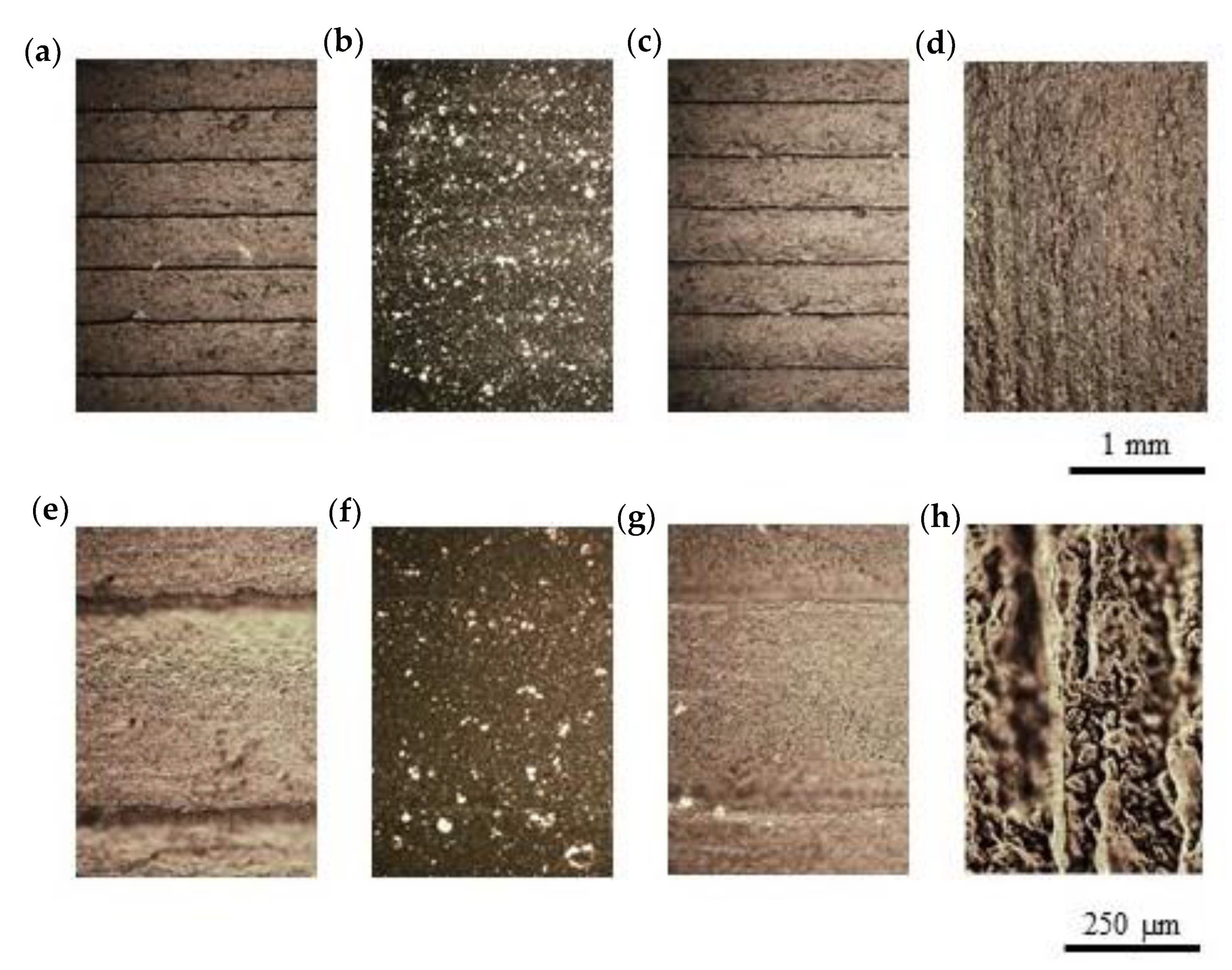Polymers 12 00733 g010