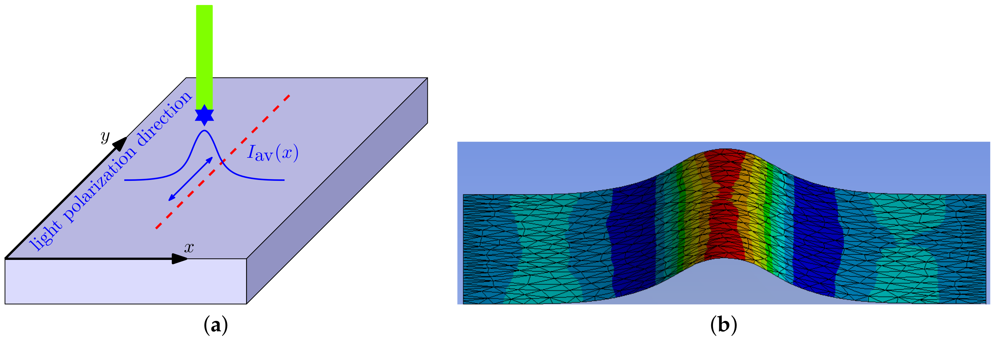 Polymers 12 00735 g002