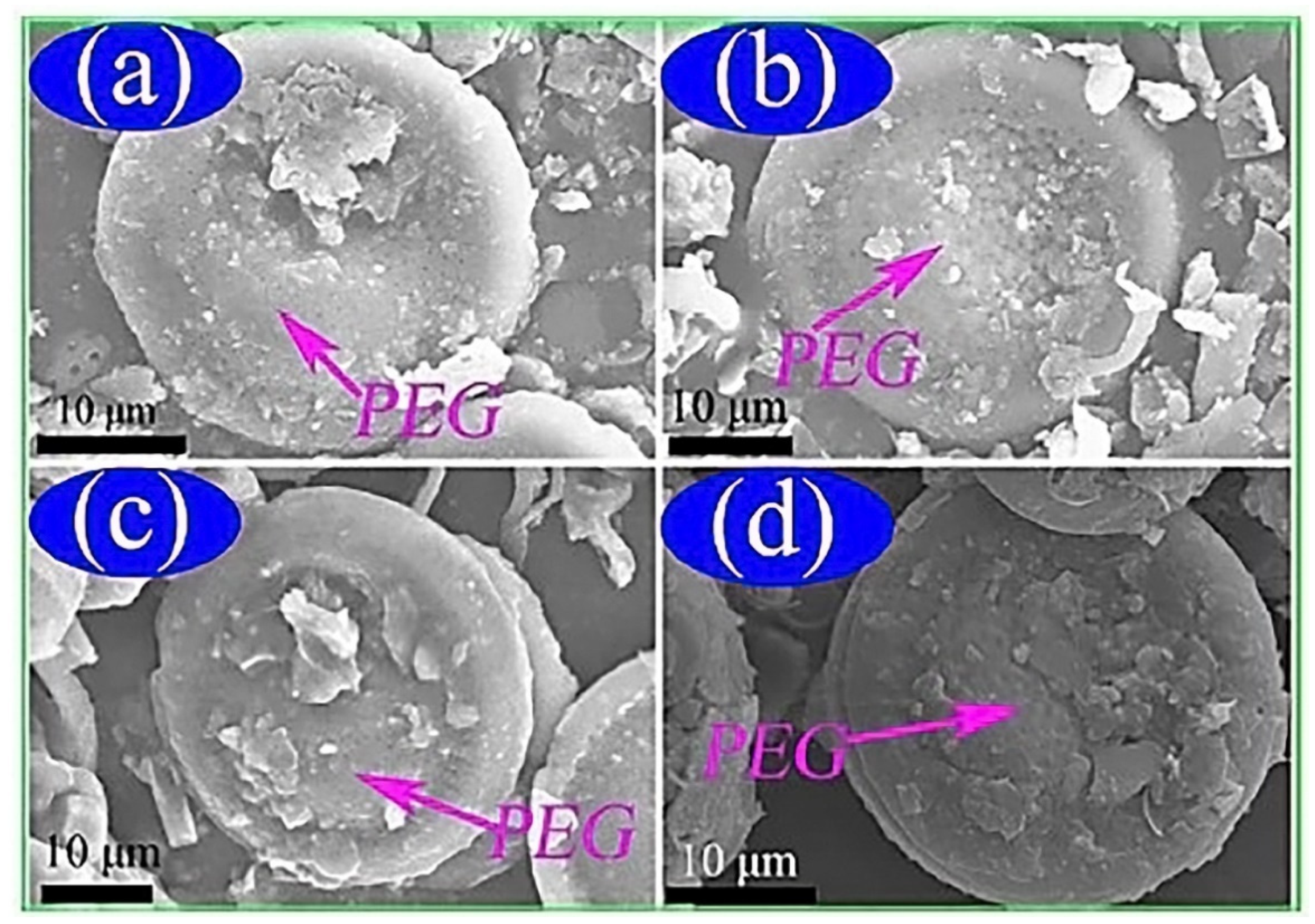 Polymers 12 00742 g004 Polymers 12 00742 g004