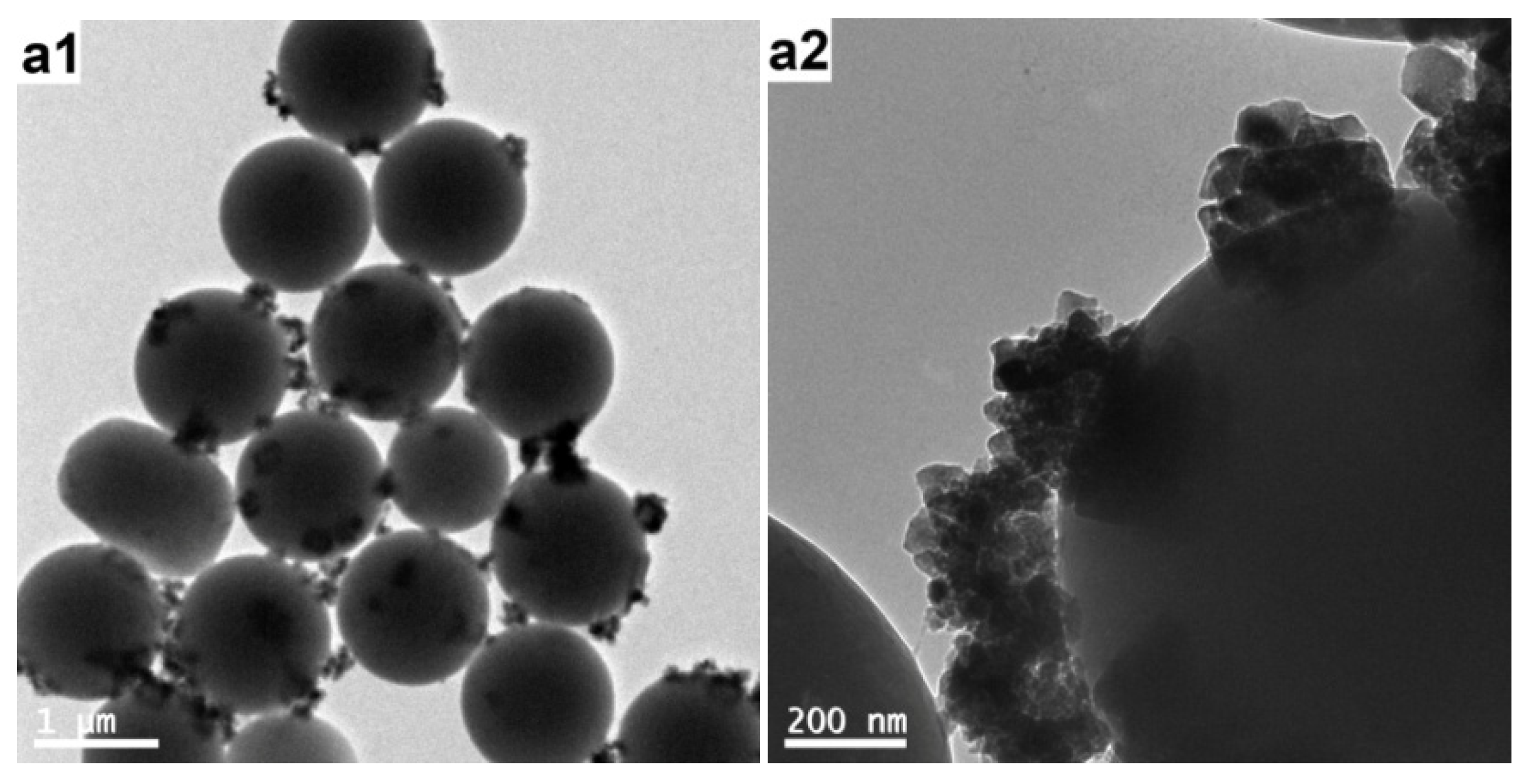 Polymers 12 00749 g005a Polymers 12 00749 g005a