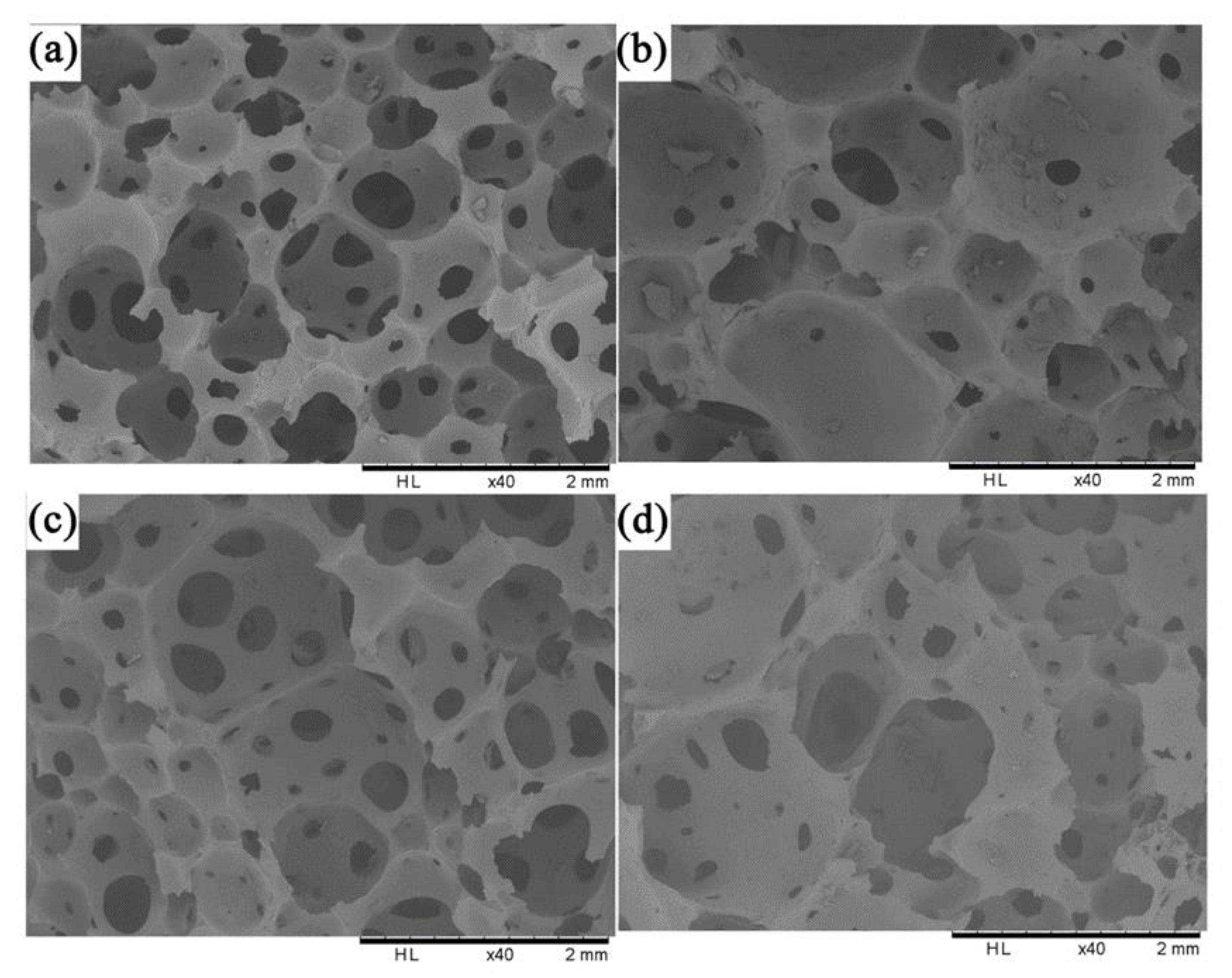 Polymers 12 00750 g002 Polymers 12 00750 g002