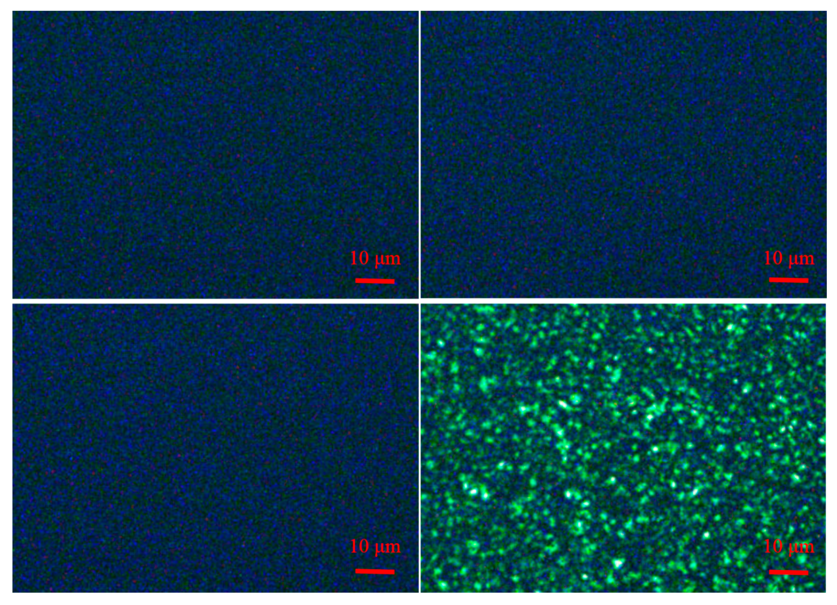Polymers 12 00751 g009