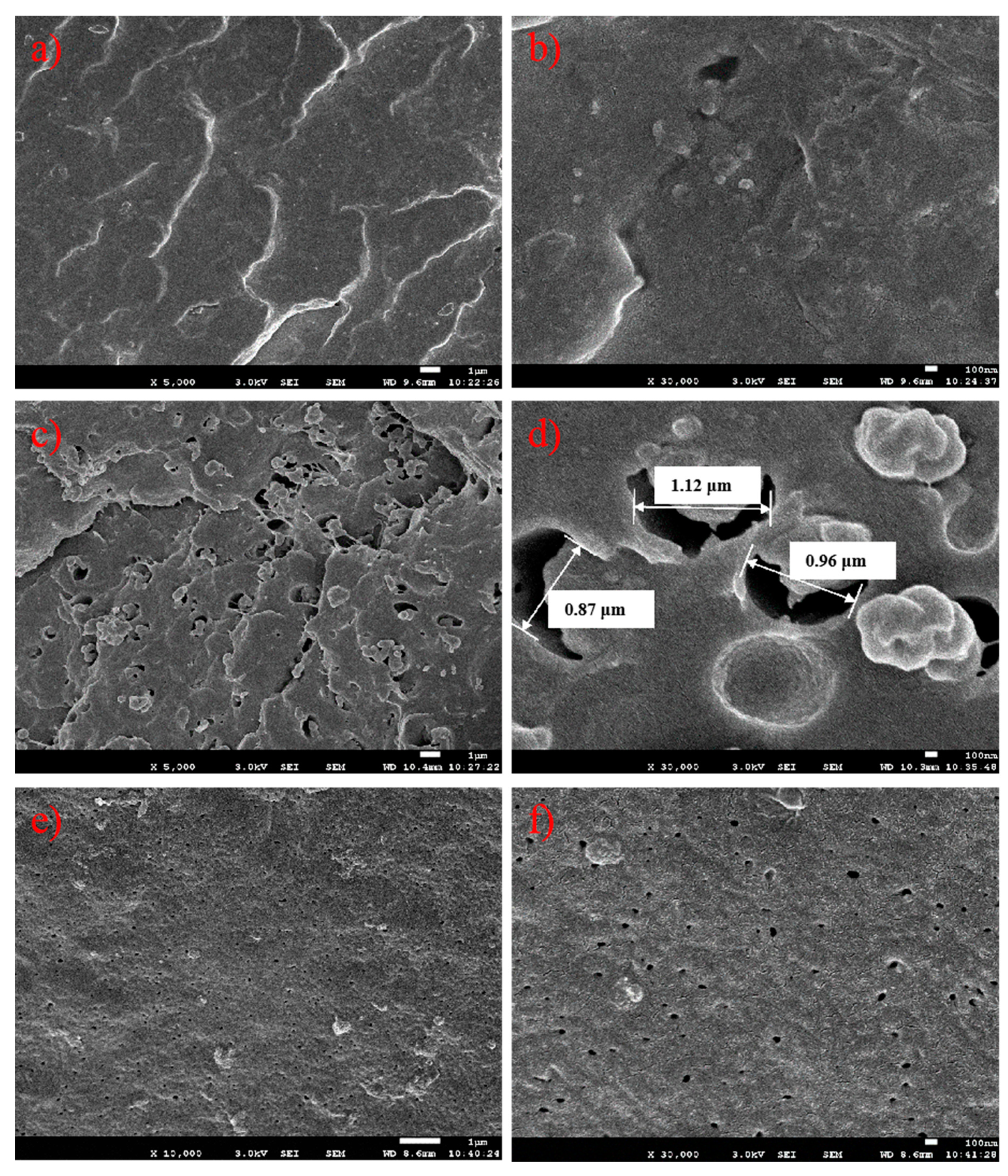 Polymers 12 00751 g010