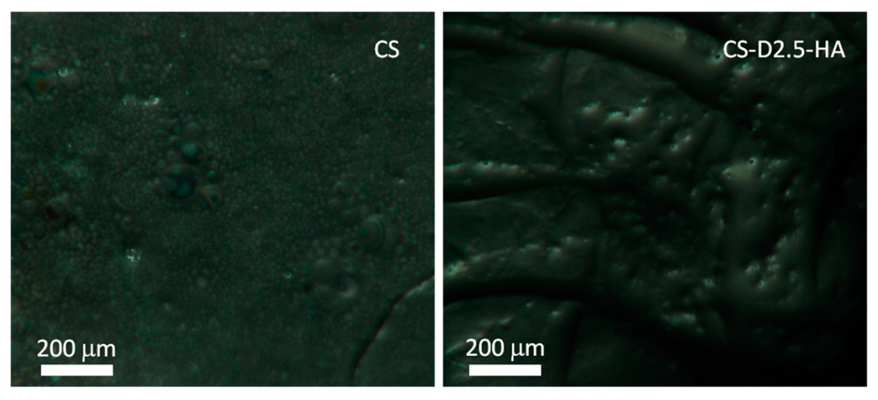 Polymers 12 00754 g002