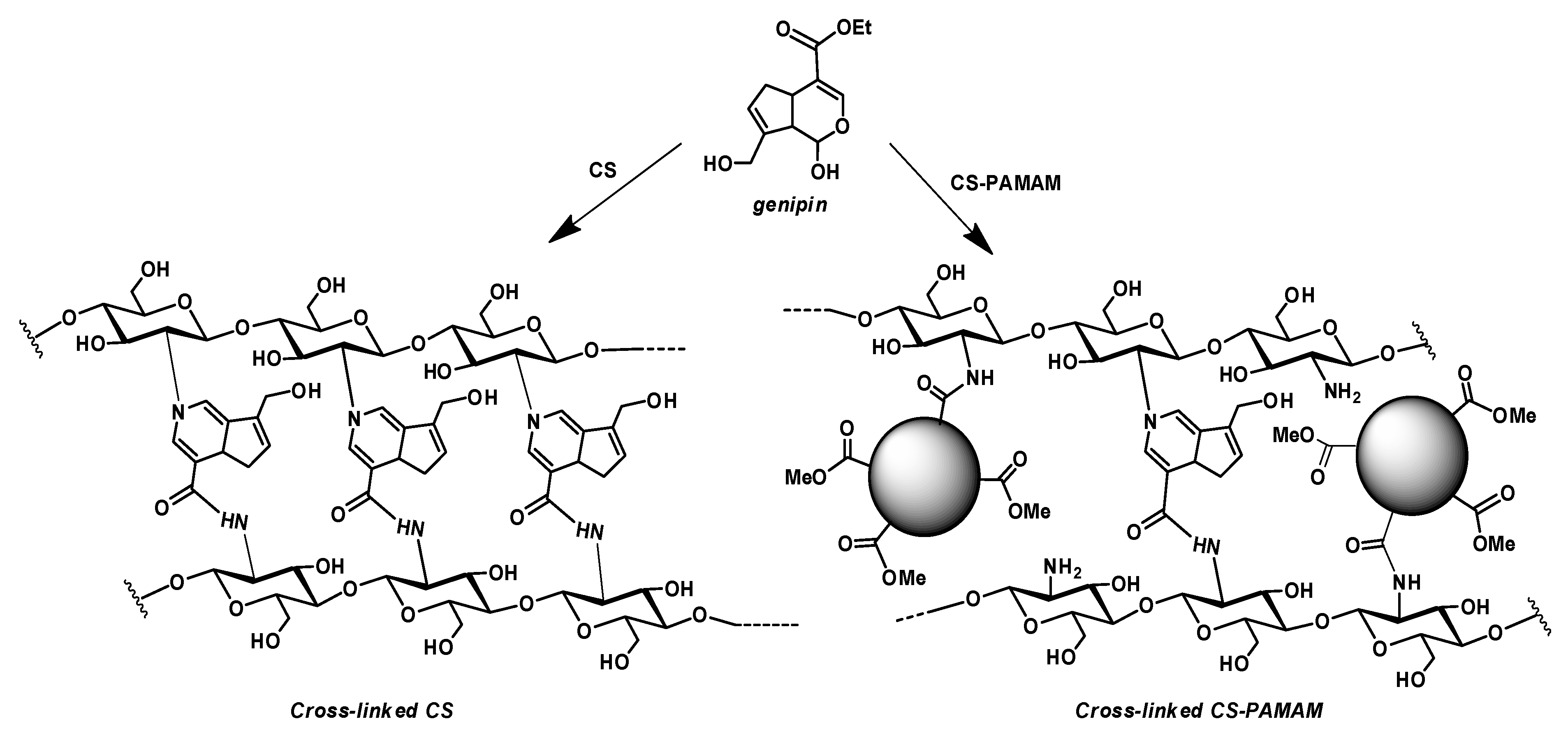 Polymers 12 00754 g007