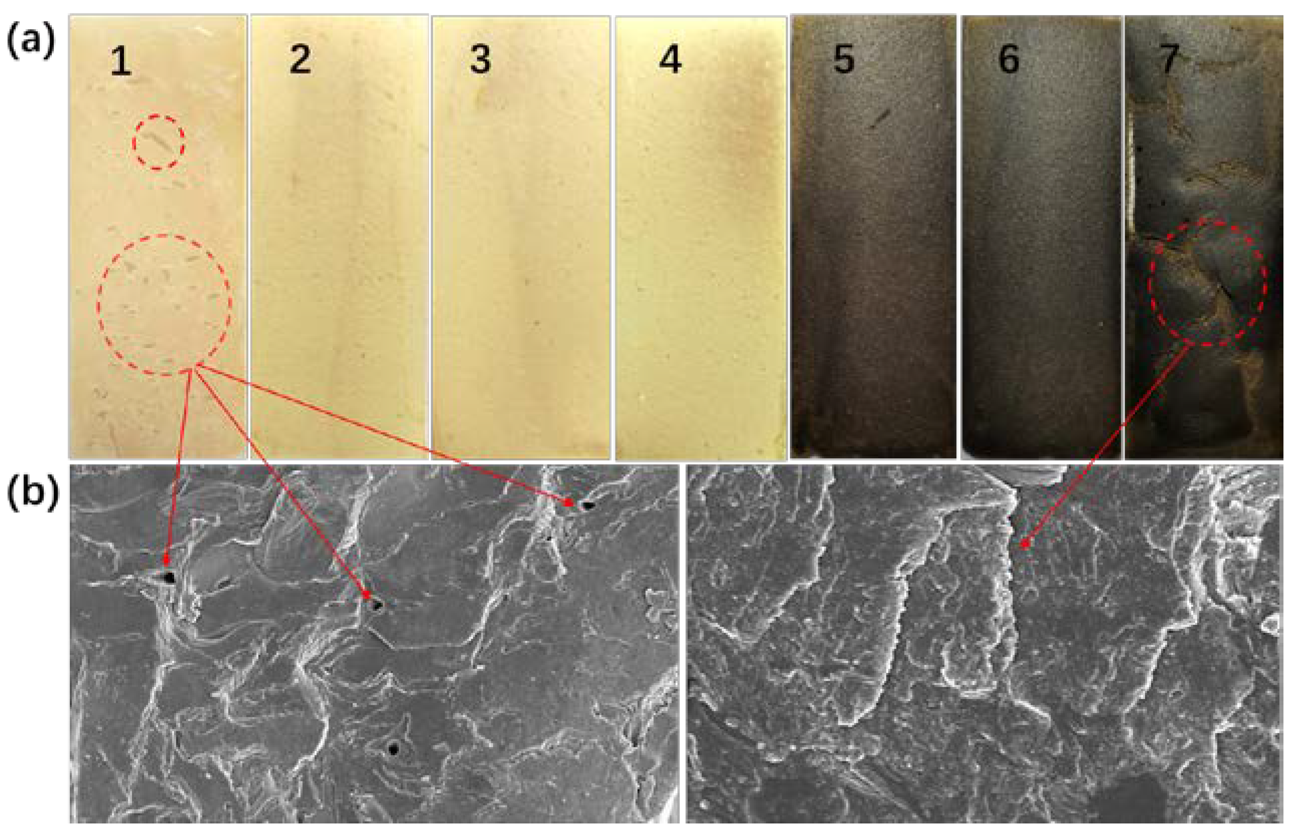 Polymers 12 00756 g006