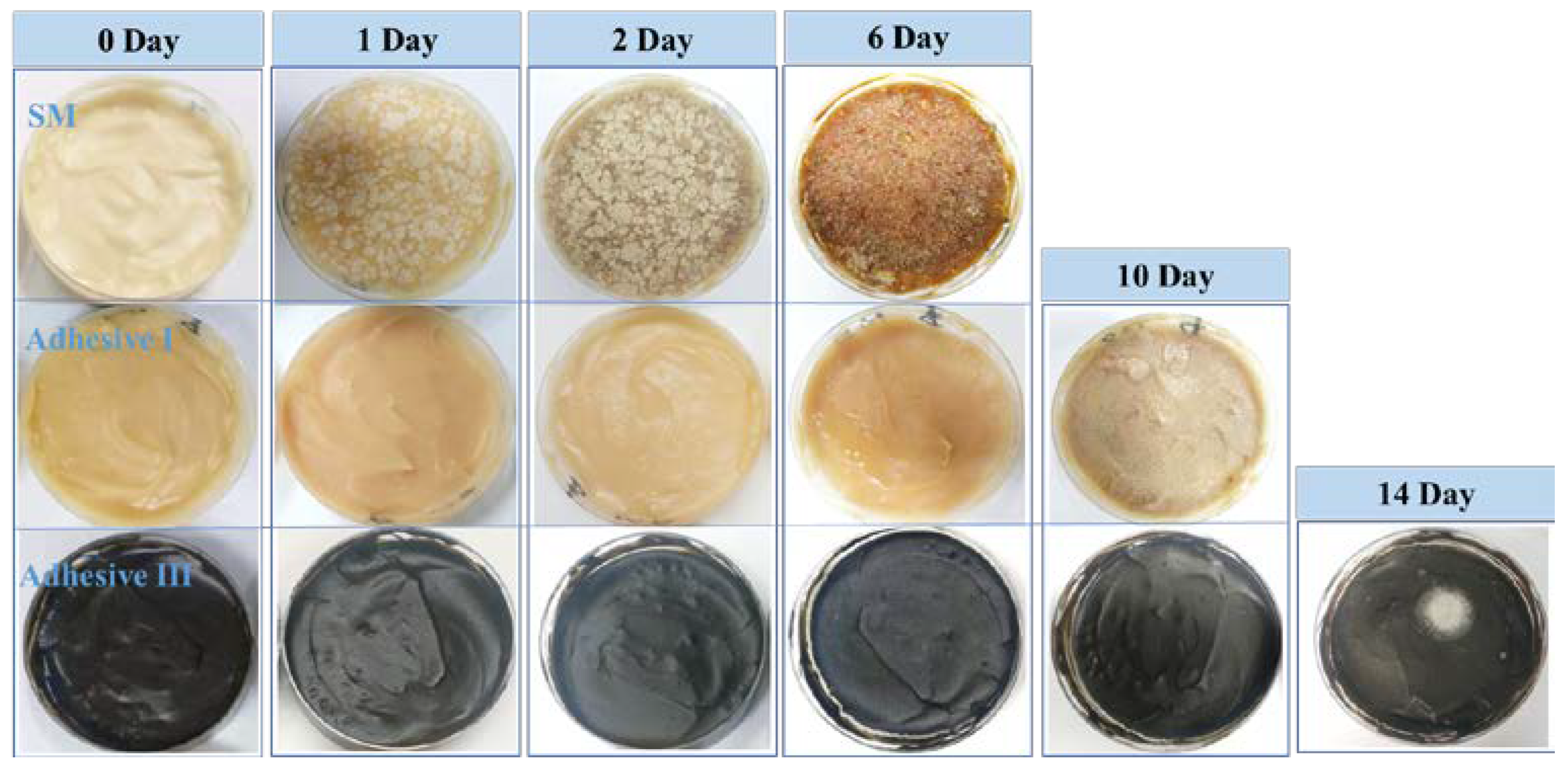 Polymers 12 00756 g008