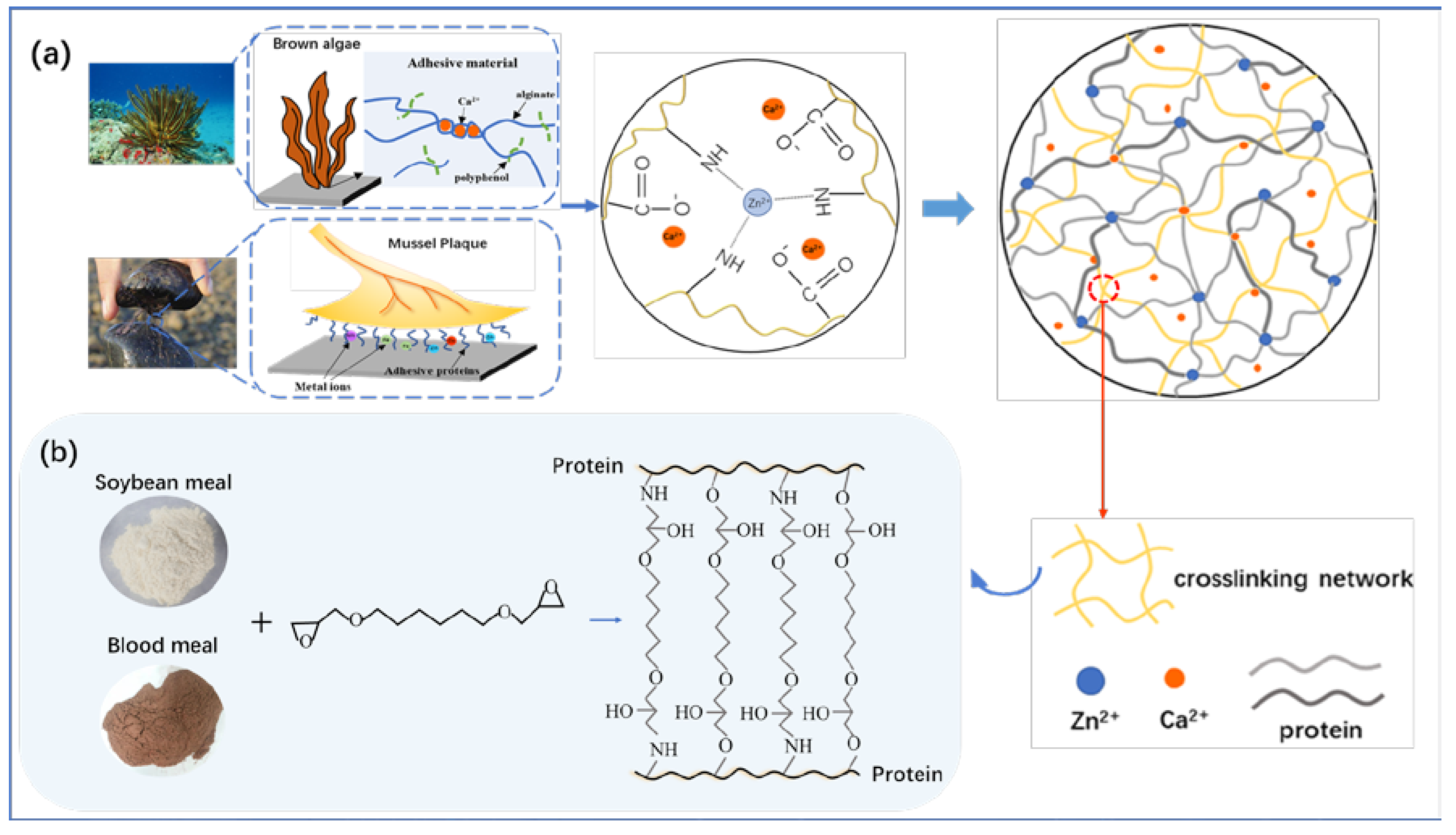 Polymers 12 00756 sch001